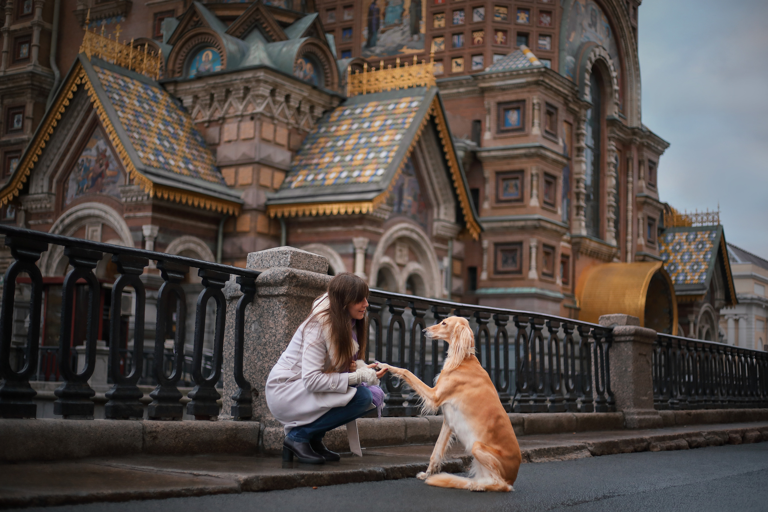 Собаки и их люди. Фотограф- анималист Санкт-Петербург