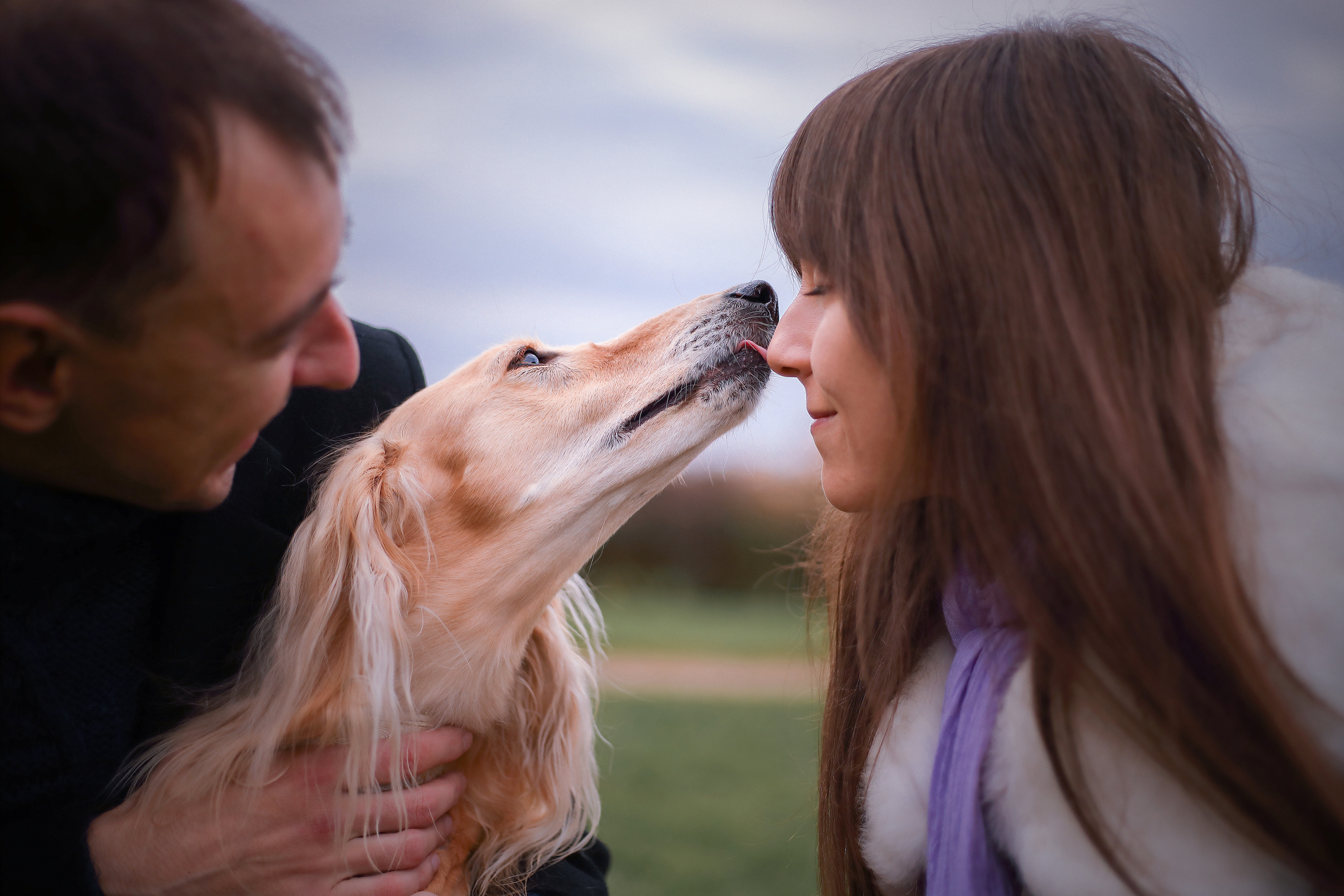 Собаки и их люди. Фотограф- анималист Санкт-Петербург