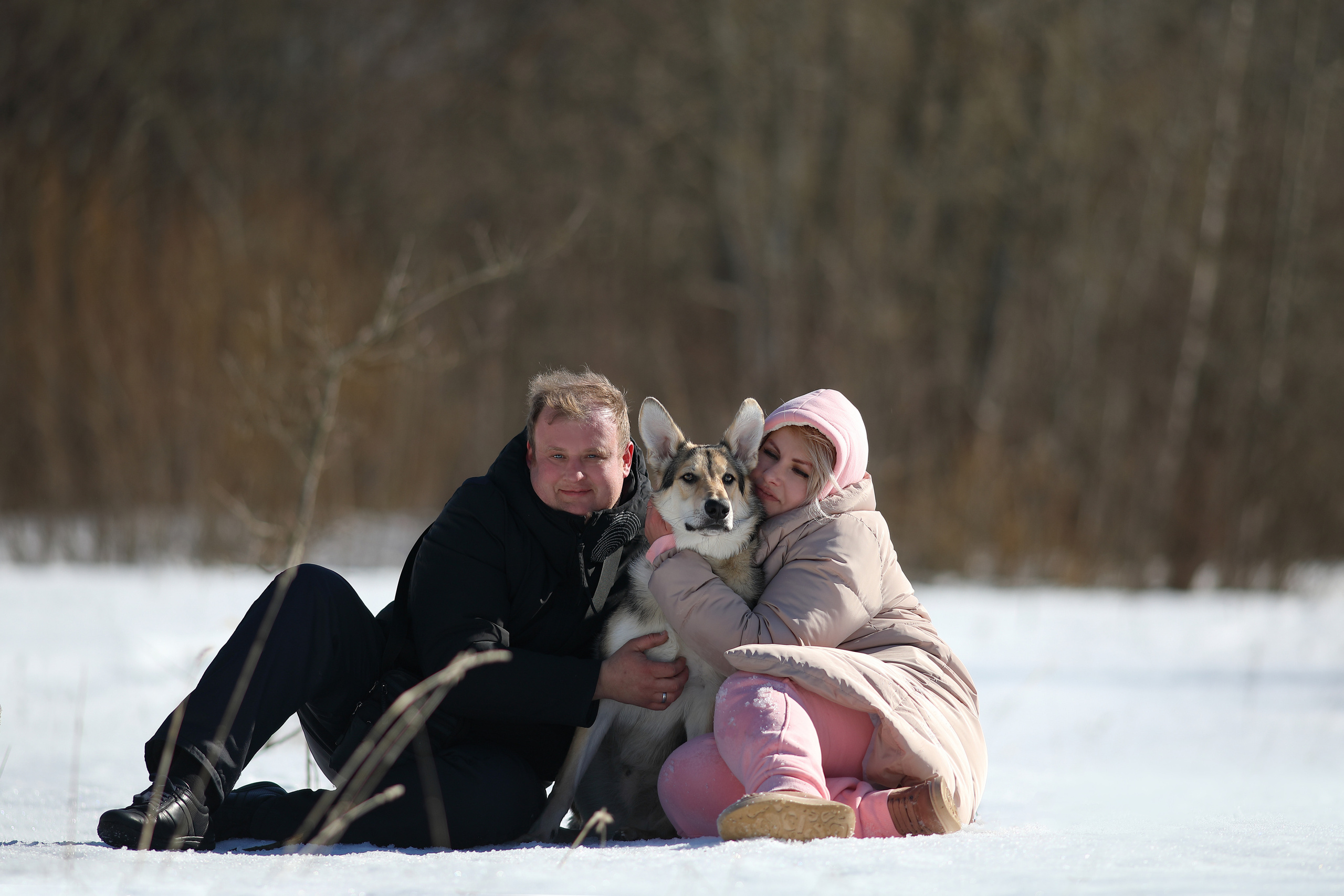 Собаки и их люди. Фотограф- анималист Санкт-Петербург