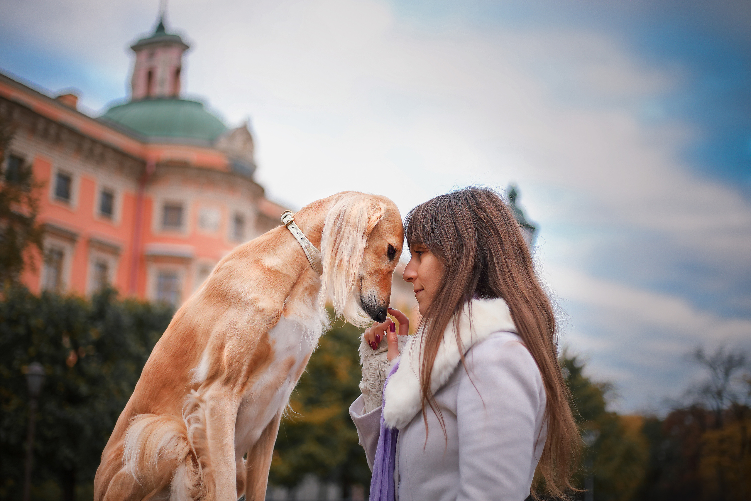 Собаки и их люди. Фотограф- анималист Санкт-Петербург