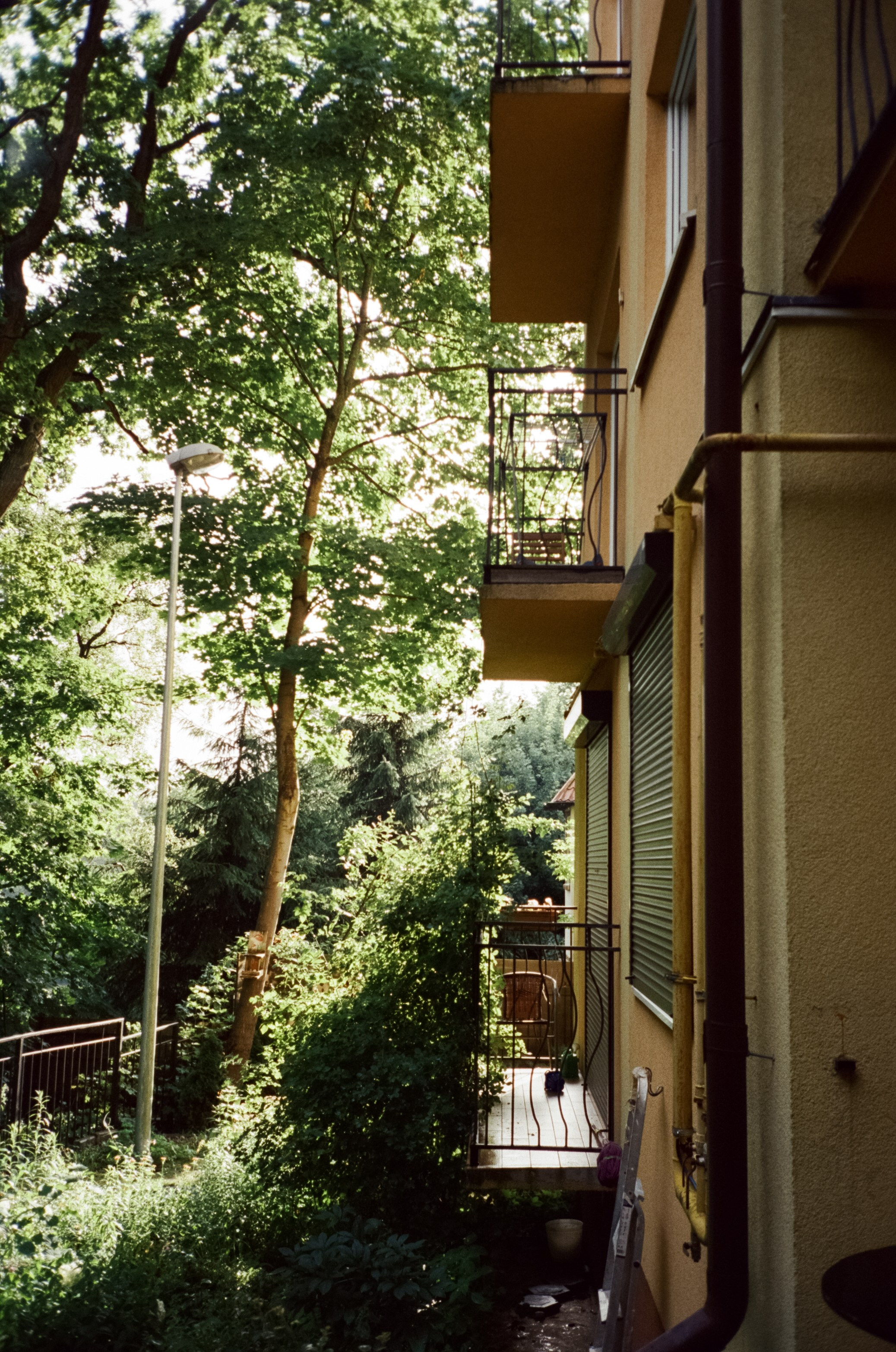 Культурная программа в дождливый день. Фотограф-документалист Мария Осокина