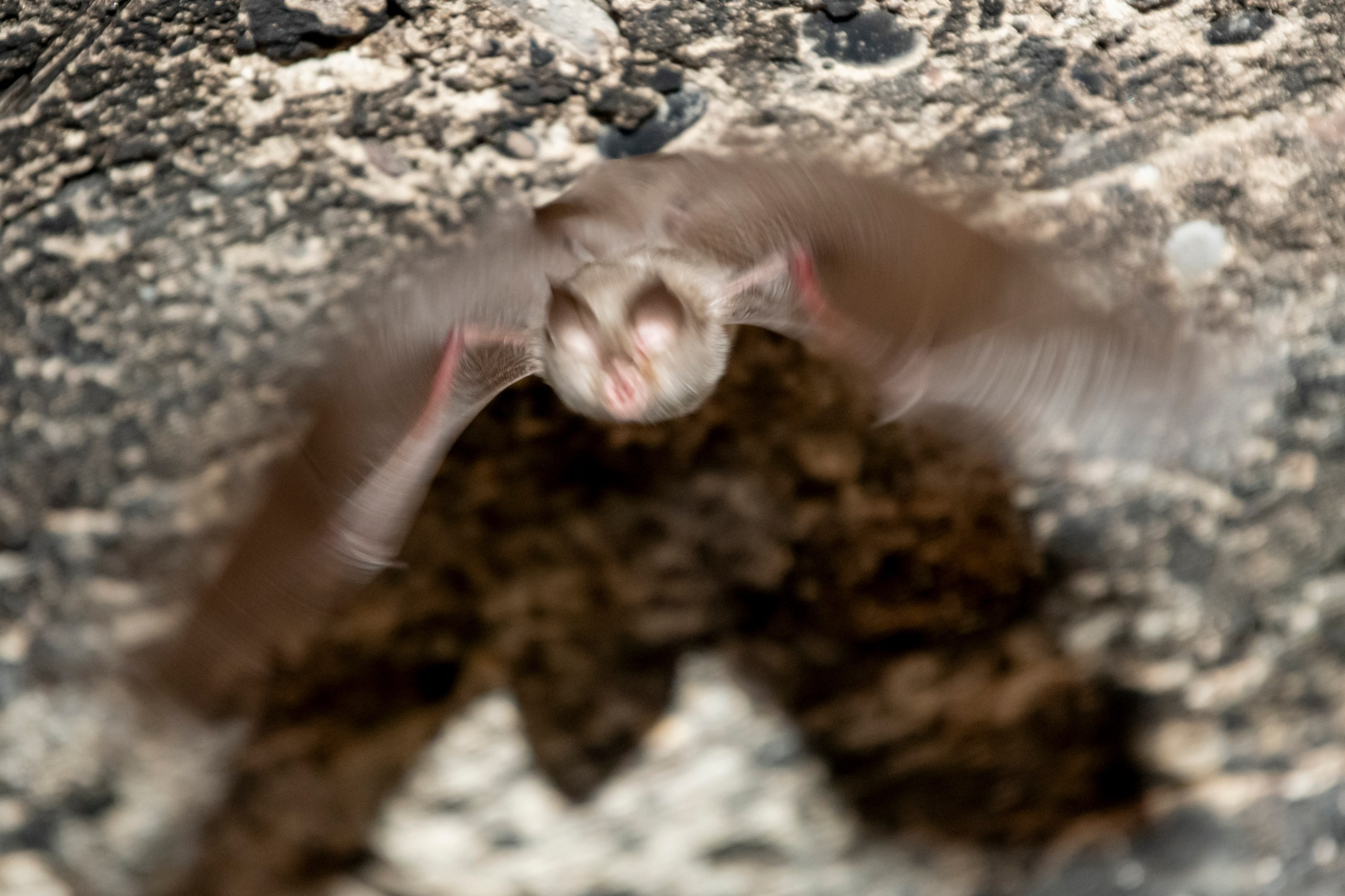 Природа Дагестана, сентябрь 2024. Foto-Zuev фотография как искусство