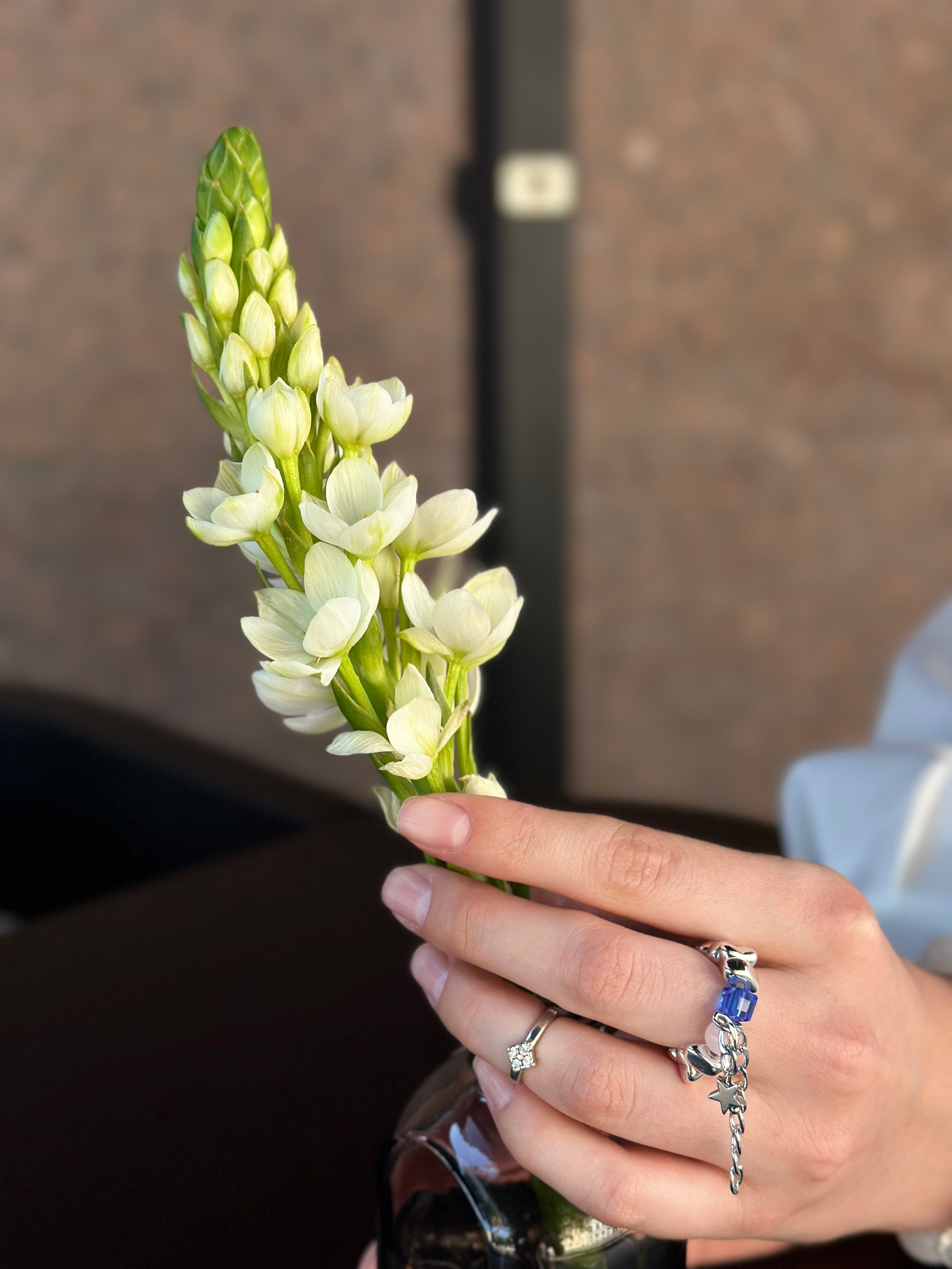 Прогулка по центру. КОНТЕНТ |БРЕНД фотограф Санкт-Петербург — Жанна Олтаржевская