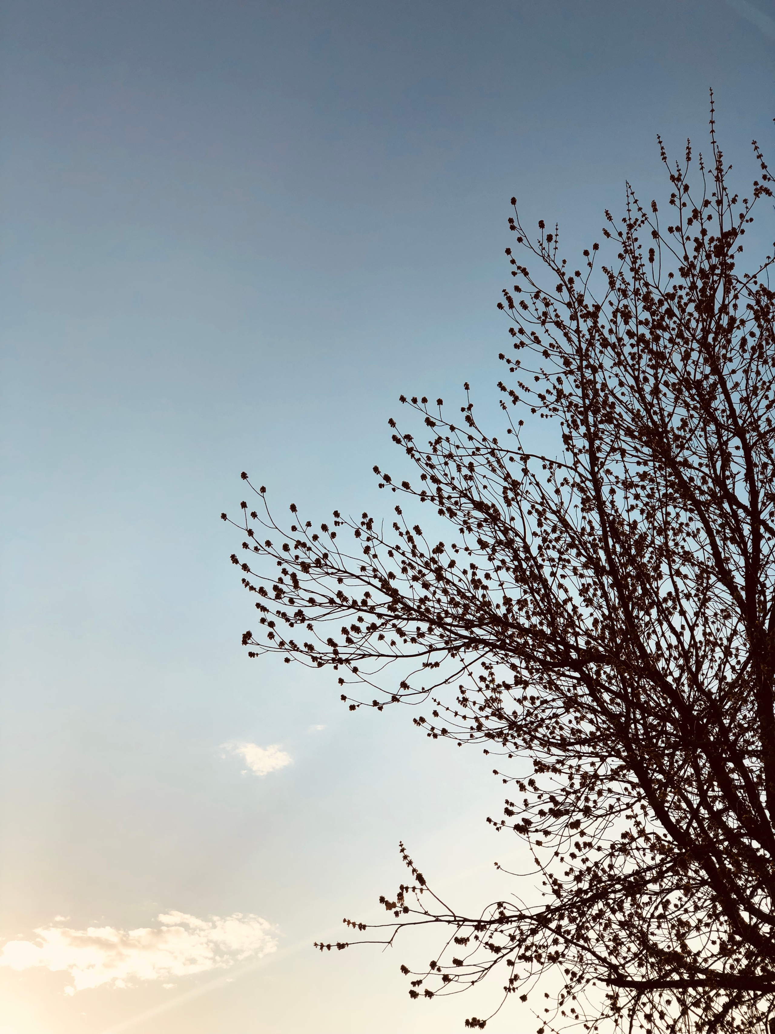 Апрель. Семейный, Свадебный фотограф СПБ Питер— Романова Екатерина