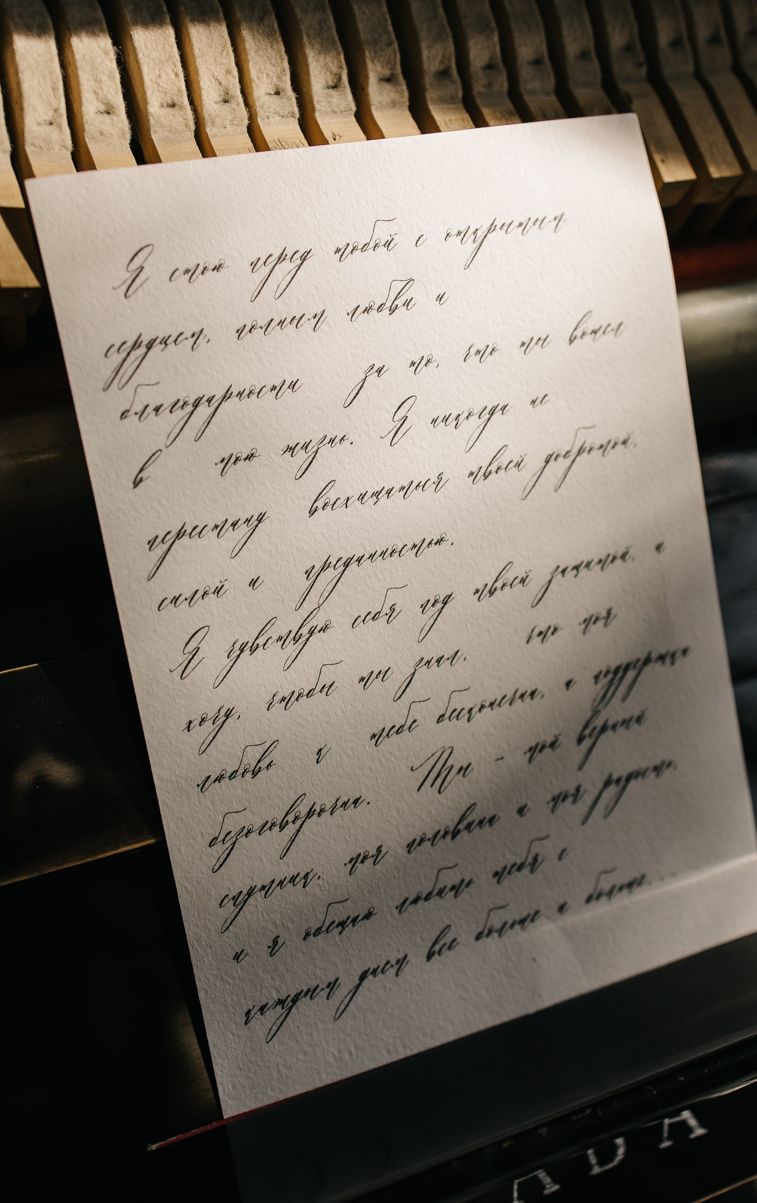 Аня и Саша. Family and Wedding Photographer in Chelyabinsk Yulia Sofina