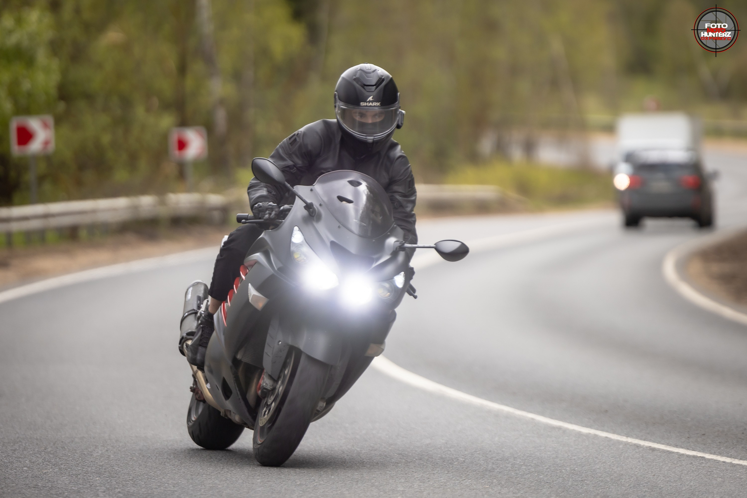 Первое Сафари в 2025 г. на Рогачевском ш. Фотограф Владимир Охрименко