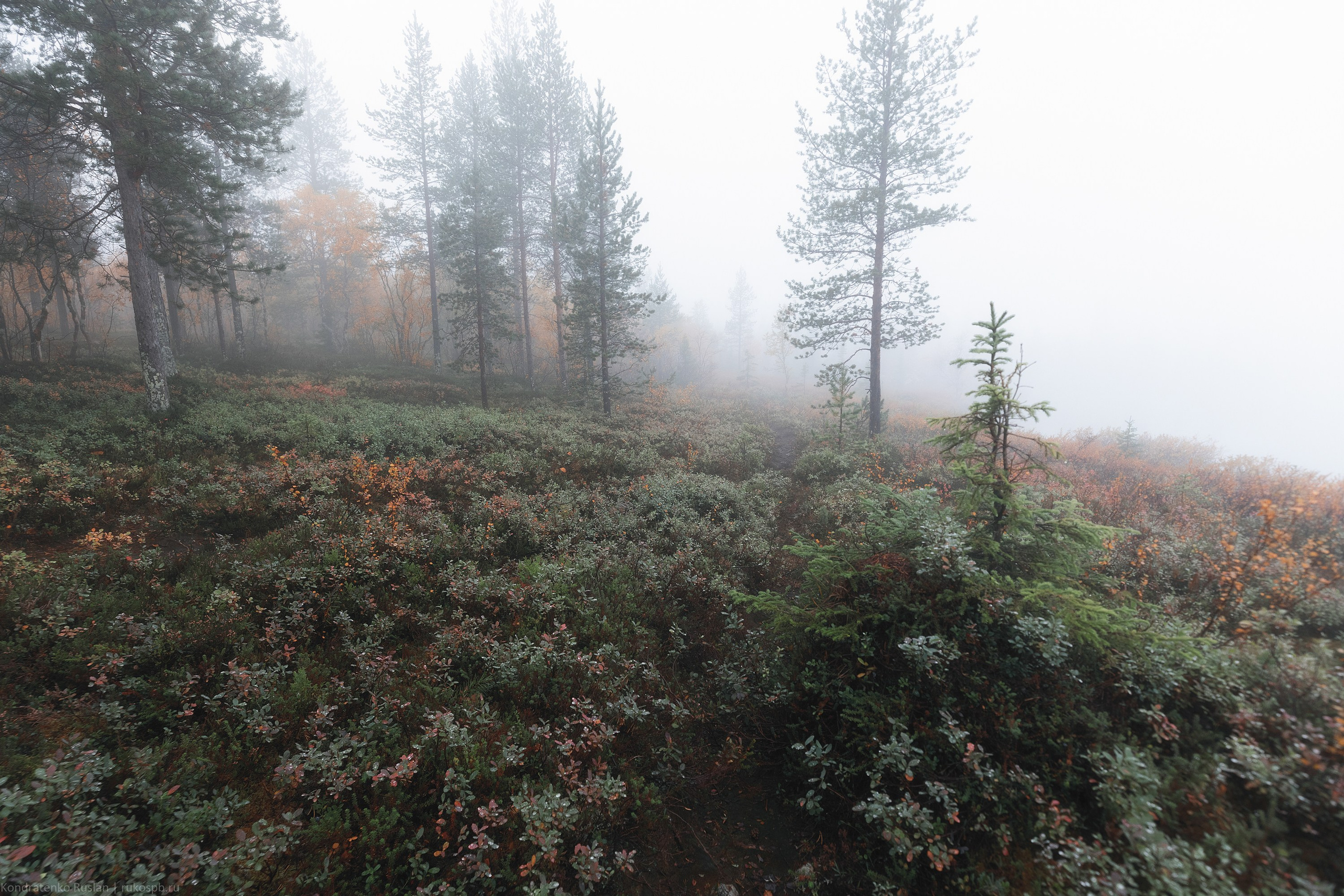 Хибины. Архитектурный и пейзажный фотограф Кондратенко Руслан, Санкт-Петербург