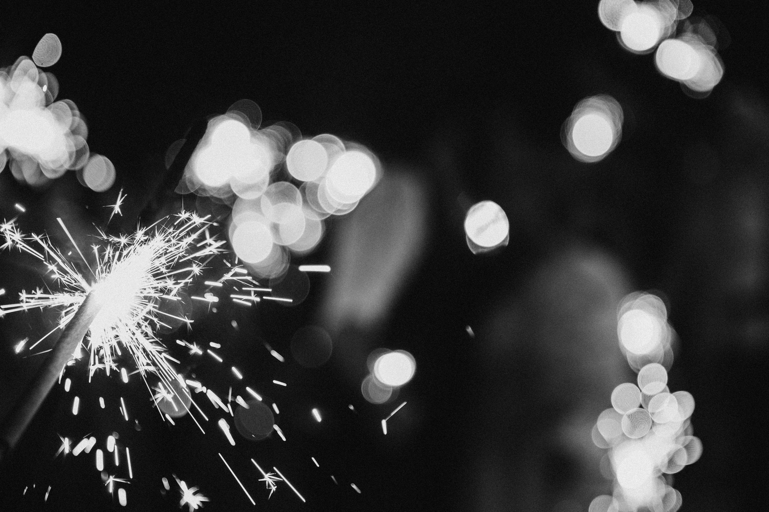 Полина и Саша | Ранчо. Свадебный фотограф Ангелина Зотова | Обнинск, Москва, Калуга