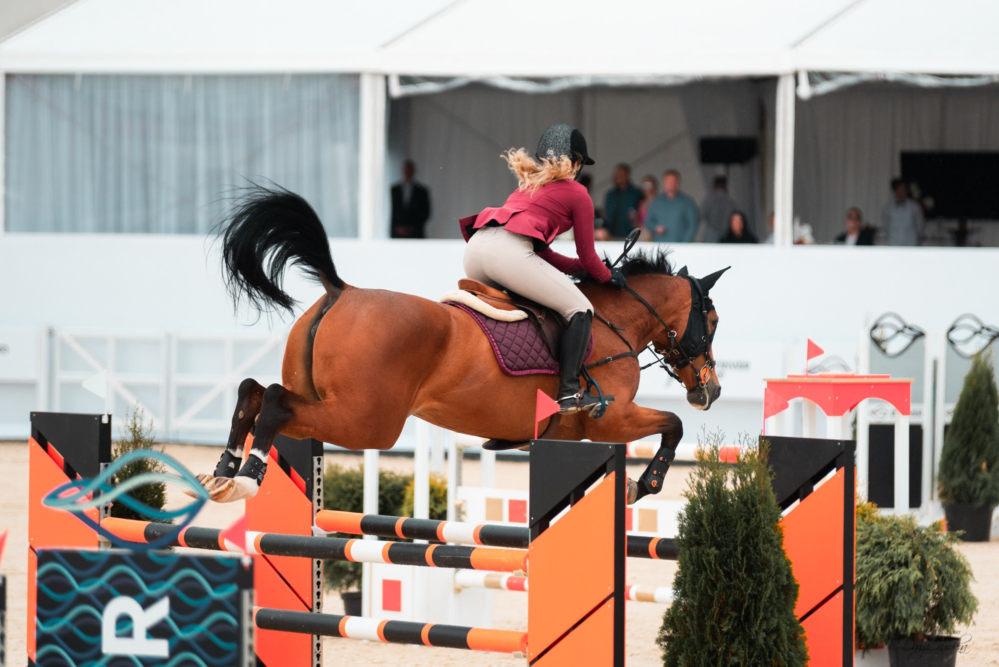 BITRIVER CUP 2023. Конный фотограф Куракина Дарья • Фотосессии с лошадьми