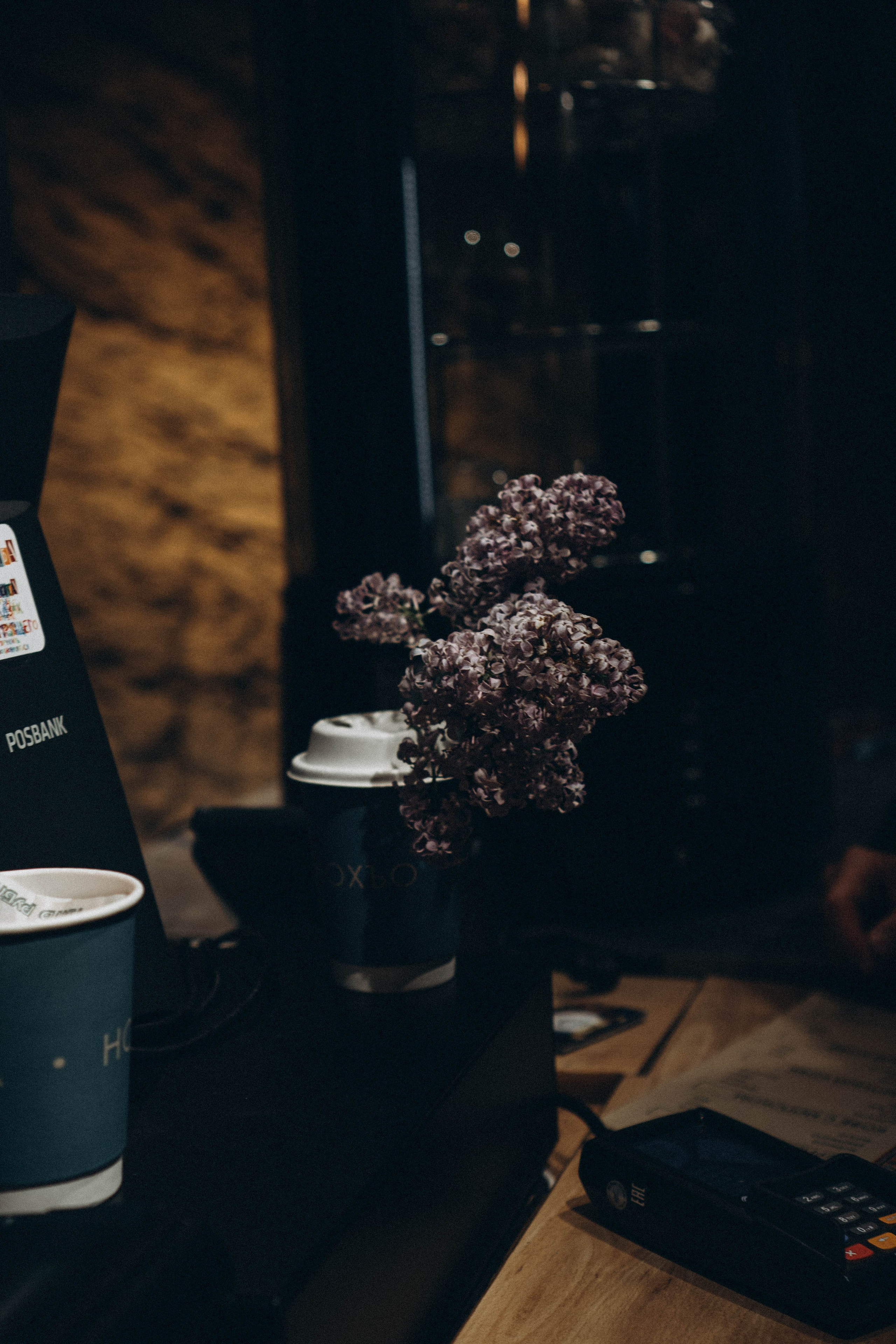 Кавказ. Профессиональный фотограф, Санкт-Петербург — Виктория Богомолова