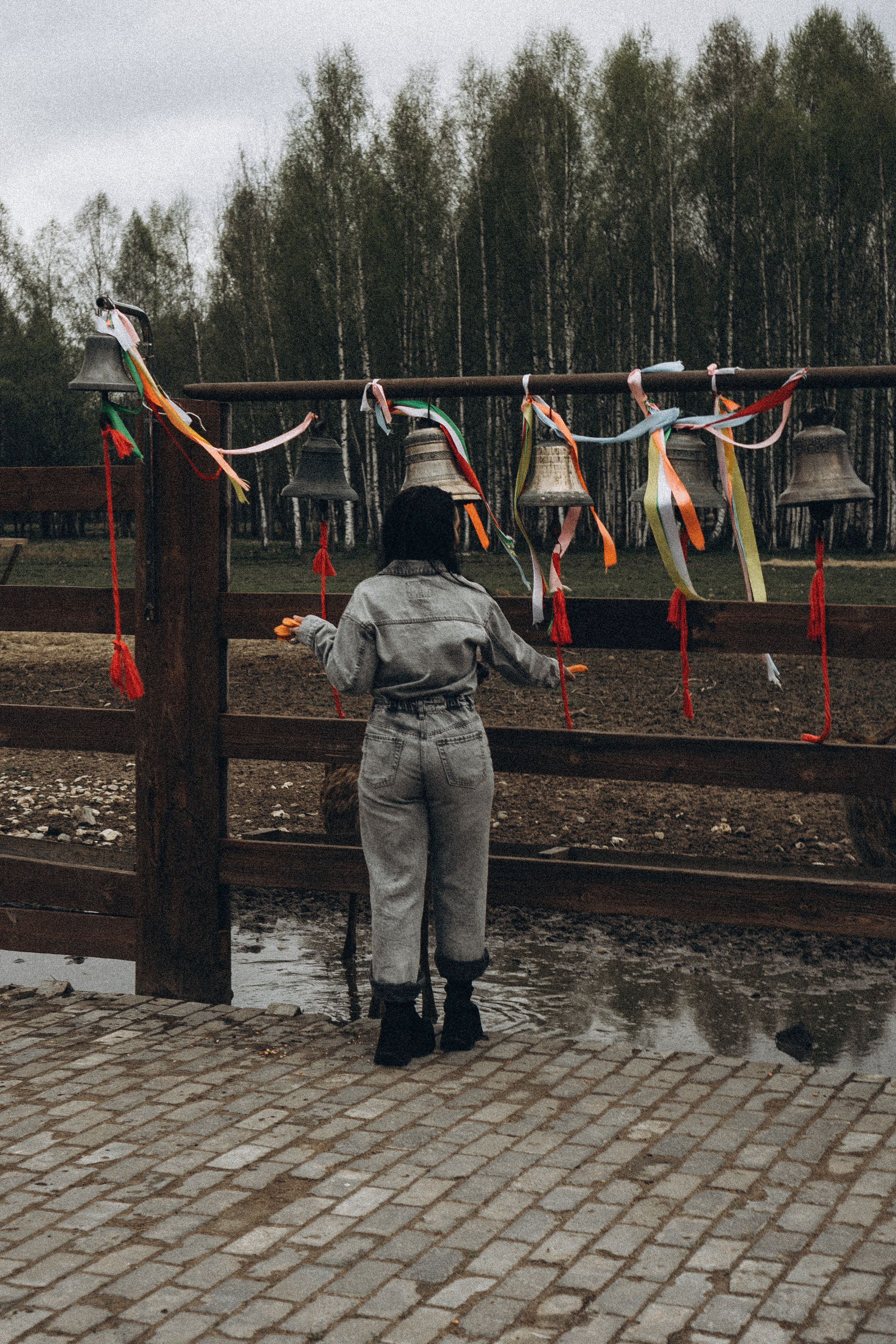 ОЛЕНЬЯ ФЕРМА В ТВЕРИ. Профессиональный фотограф, Санкт-Петербург — Виктория Богомолова