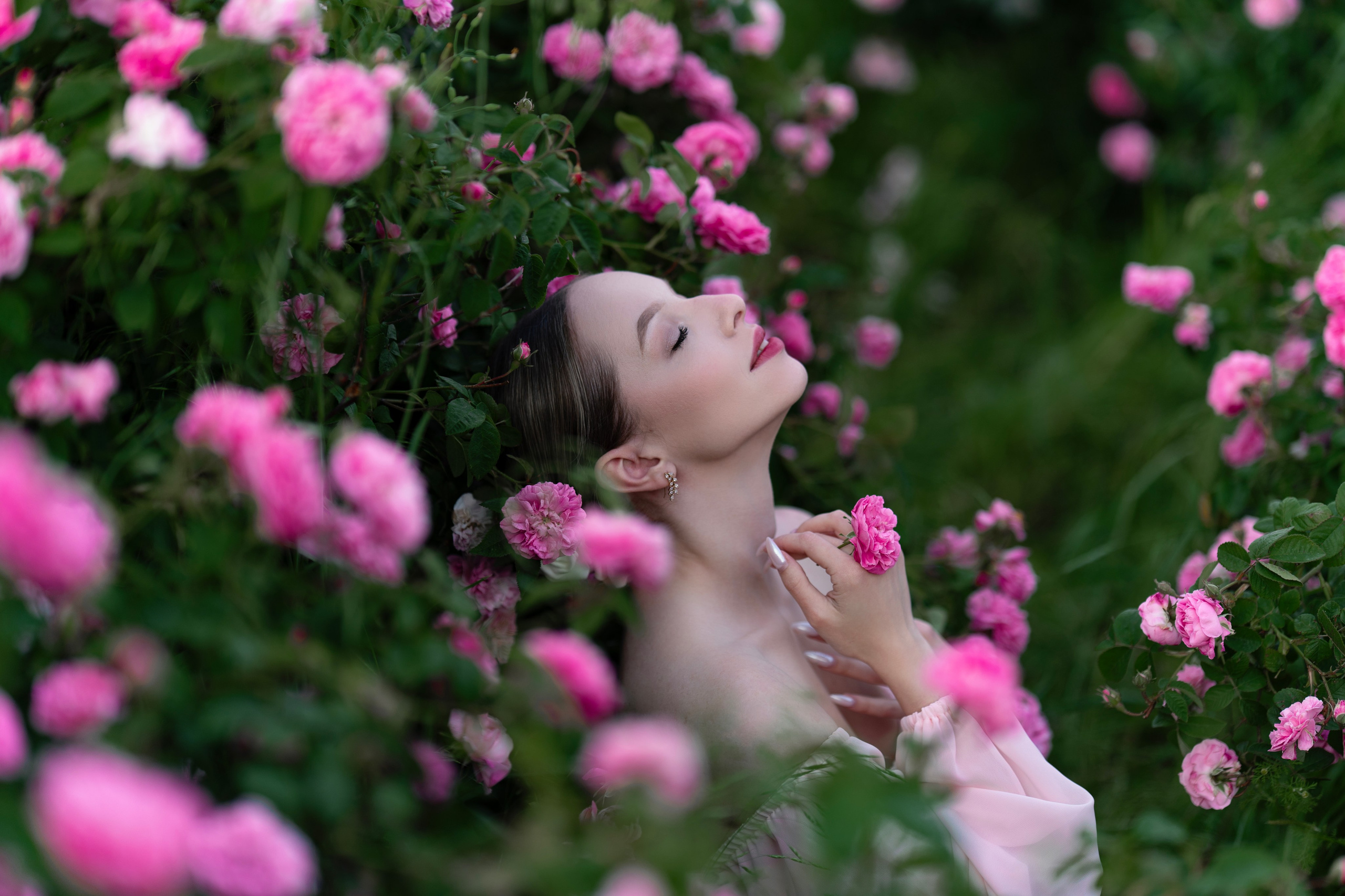 Розы. Фотограф в Крыму Лебедева Александра