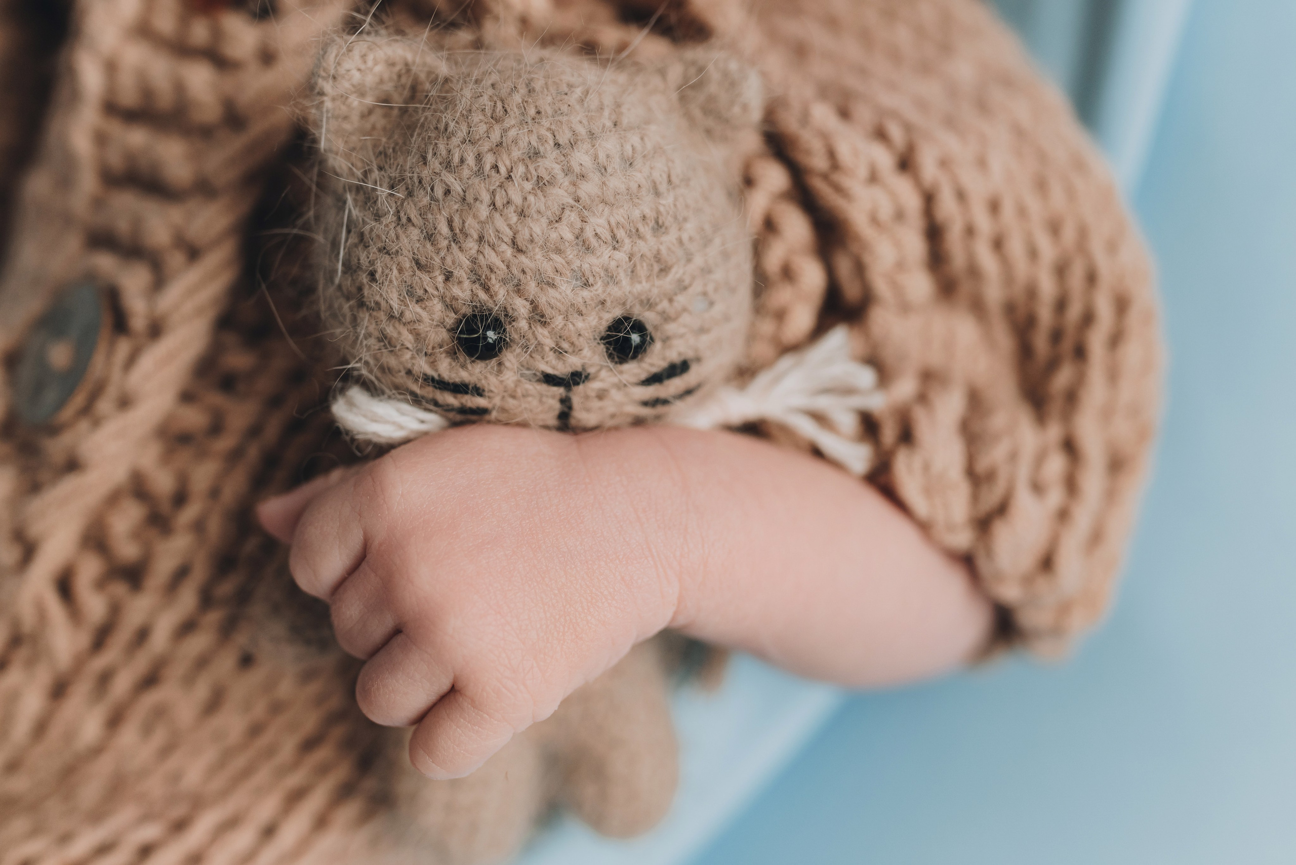 Alex. Natalia Finch Photography — Family, Kids & Pet Photographer in Chicago, IL