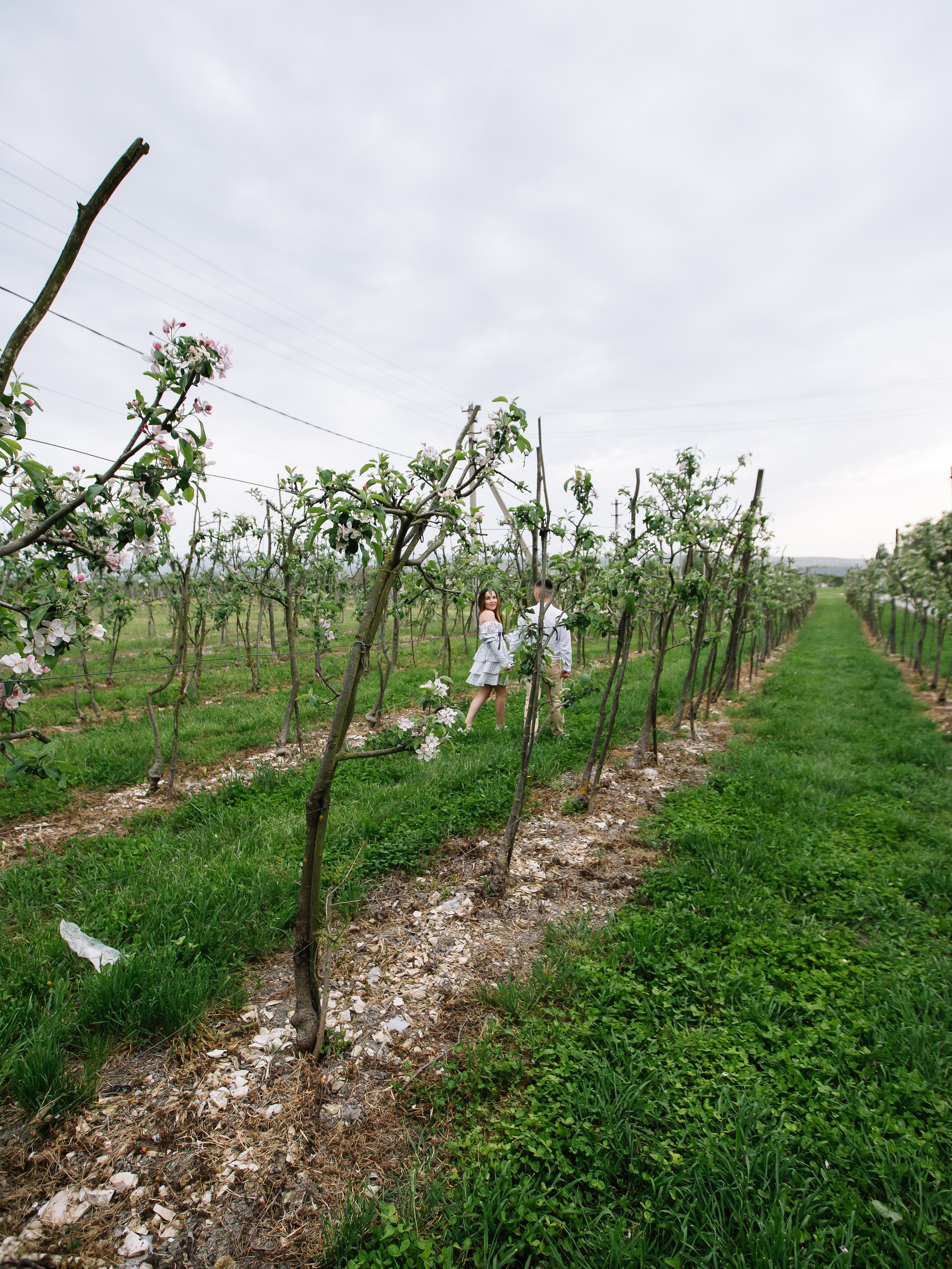 Евгений и Алина. Свадебный фотограф Анастасия Багдасарян