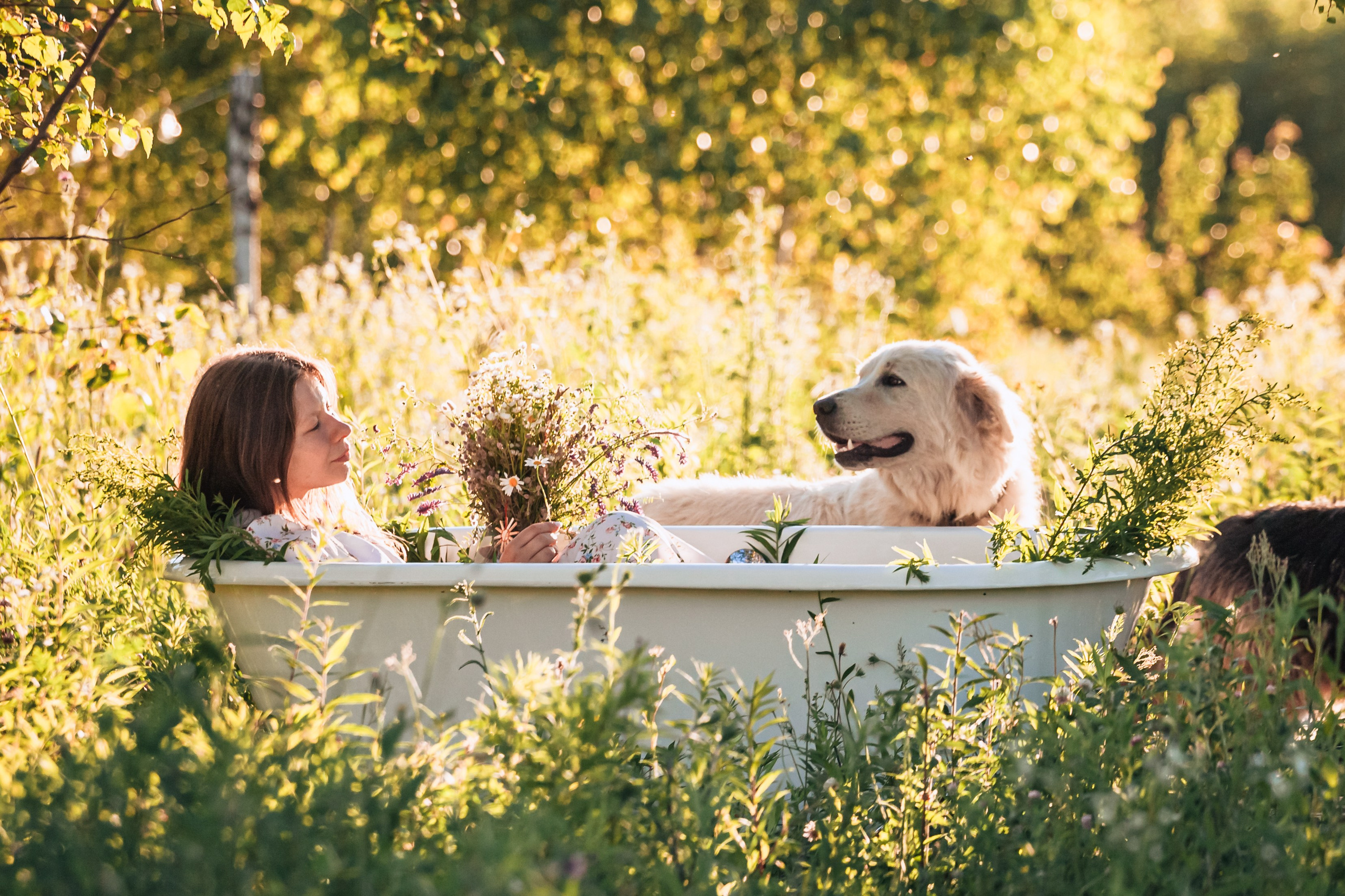 Ванна в поле. Фотограф-анималист Татьяна Степанова
