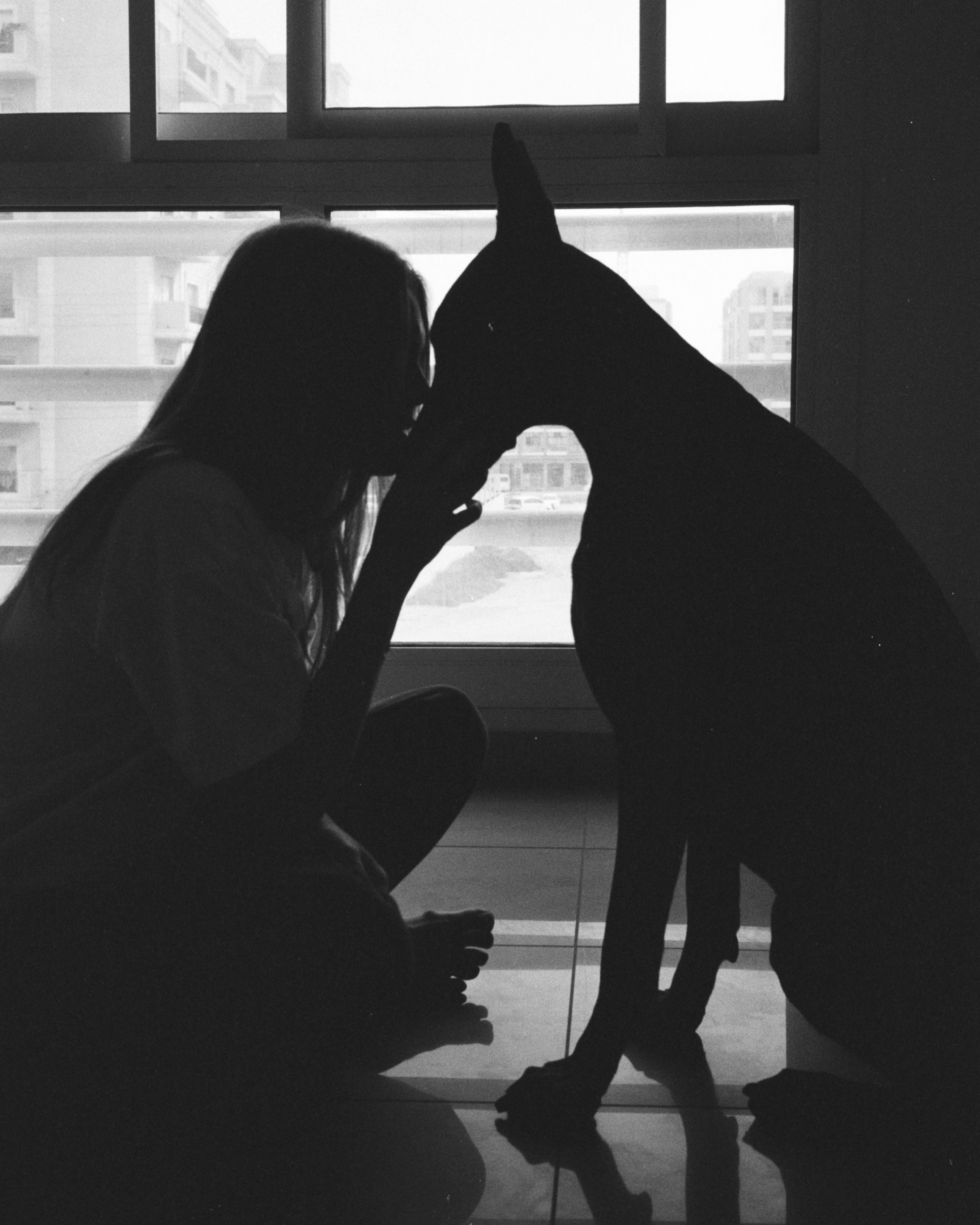 Valentine’s Day (35мм). Katyavasileva