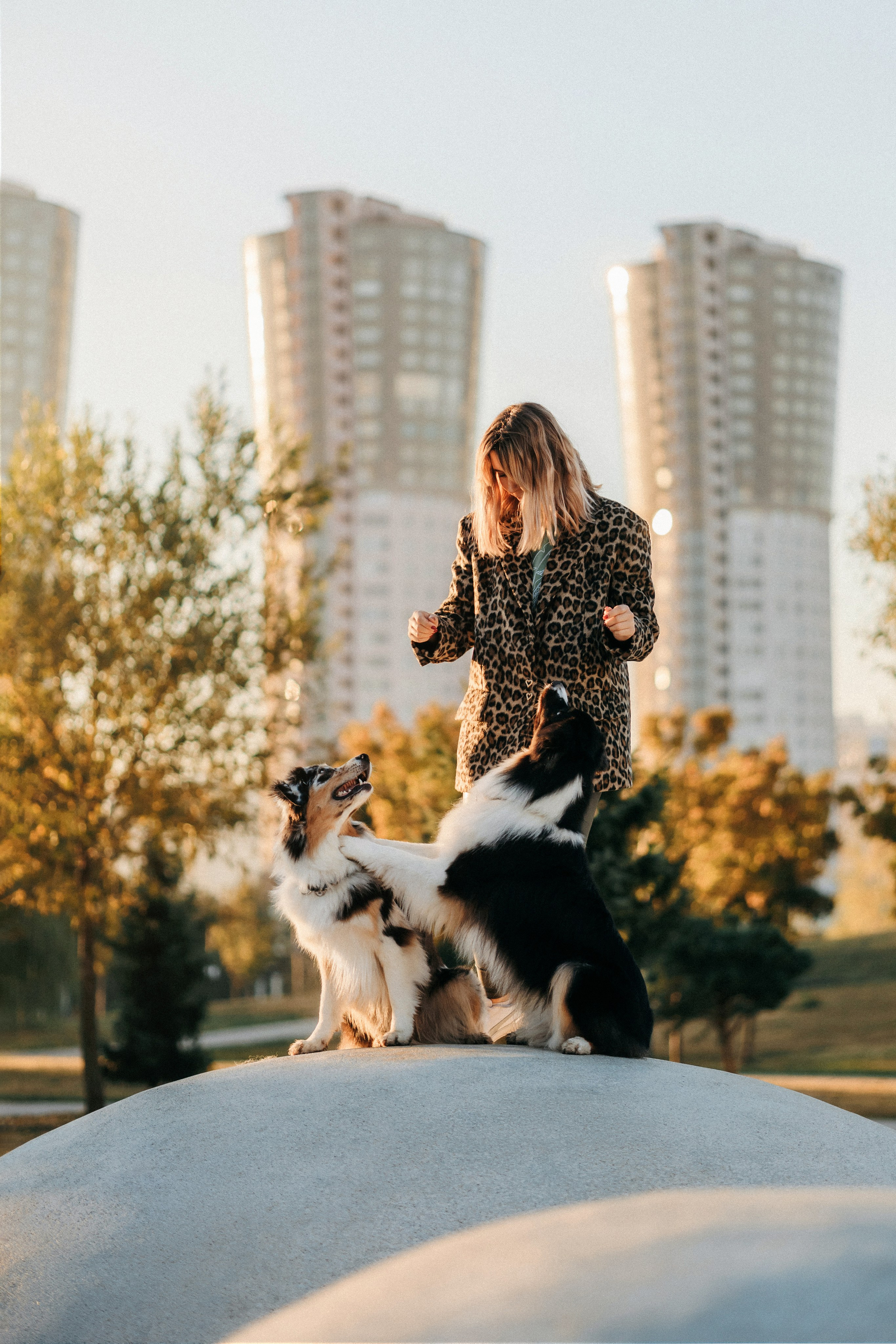 Аня, Чарли и Ева. Фотограф-анималист Елена Радченко, Москва