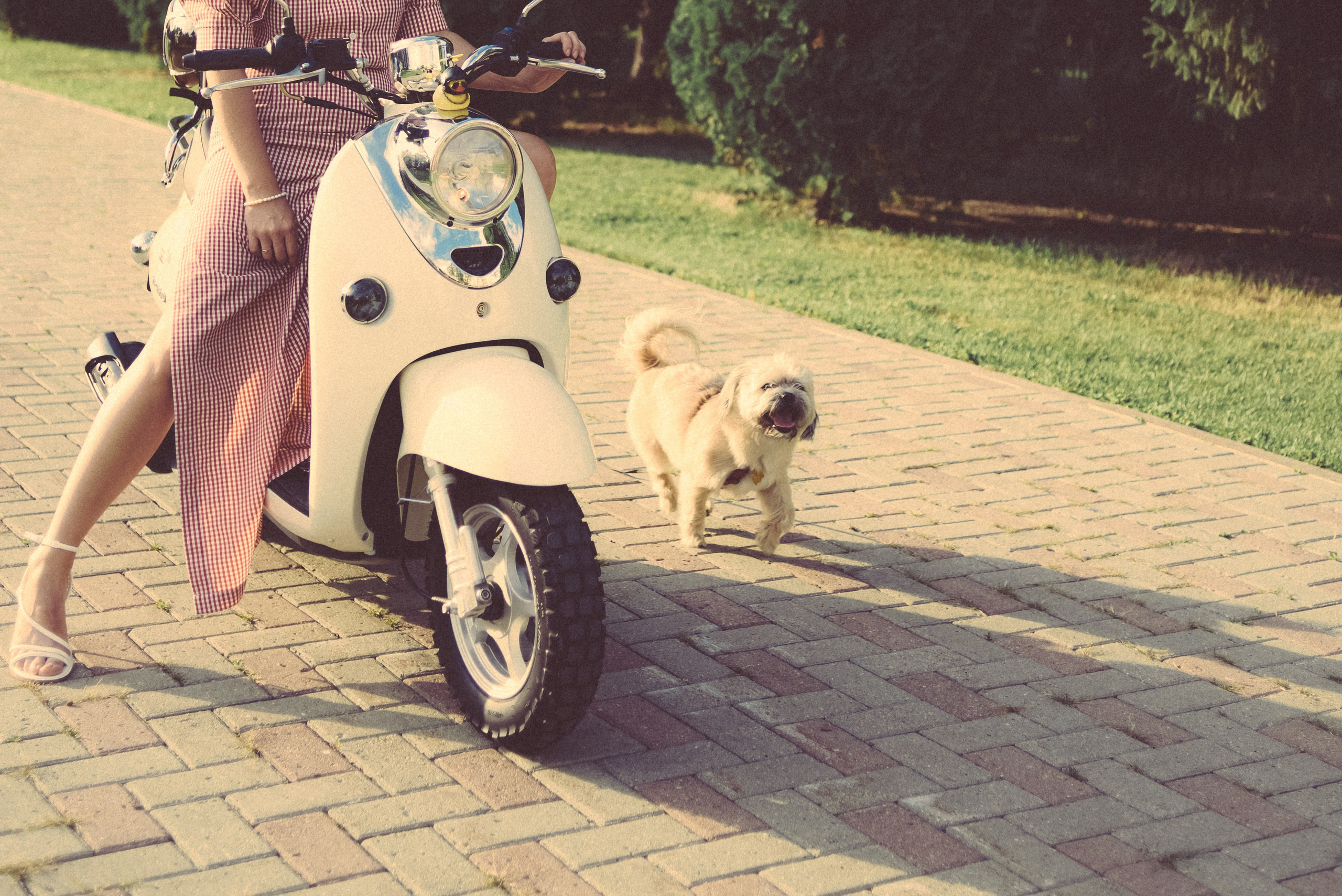 Евгения. Фотограф Дарья Мустафина, Тюмень