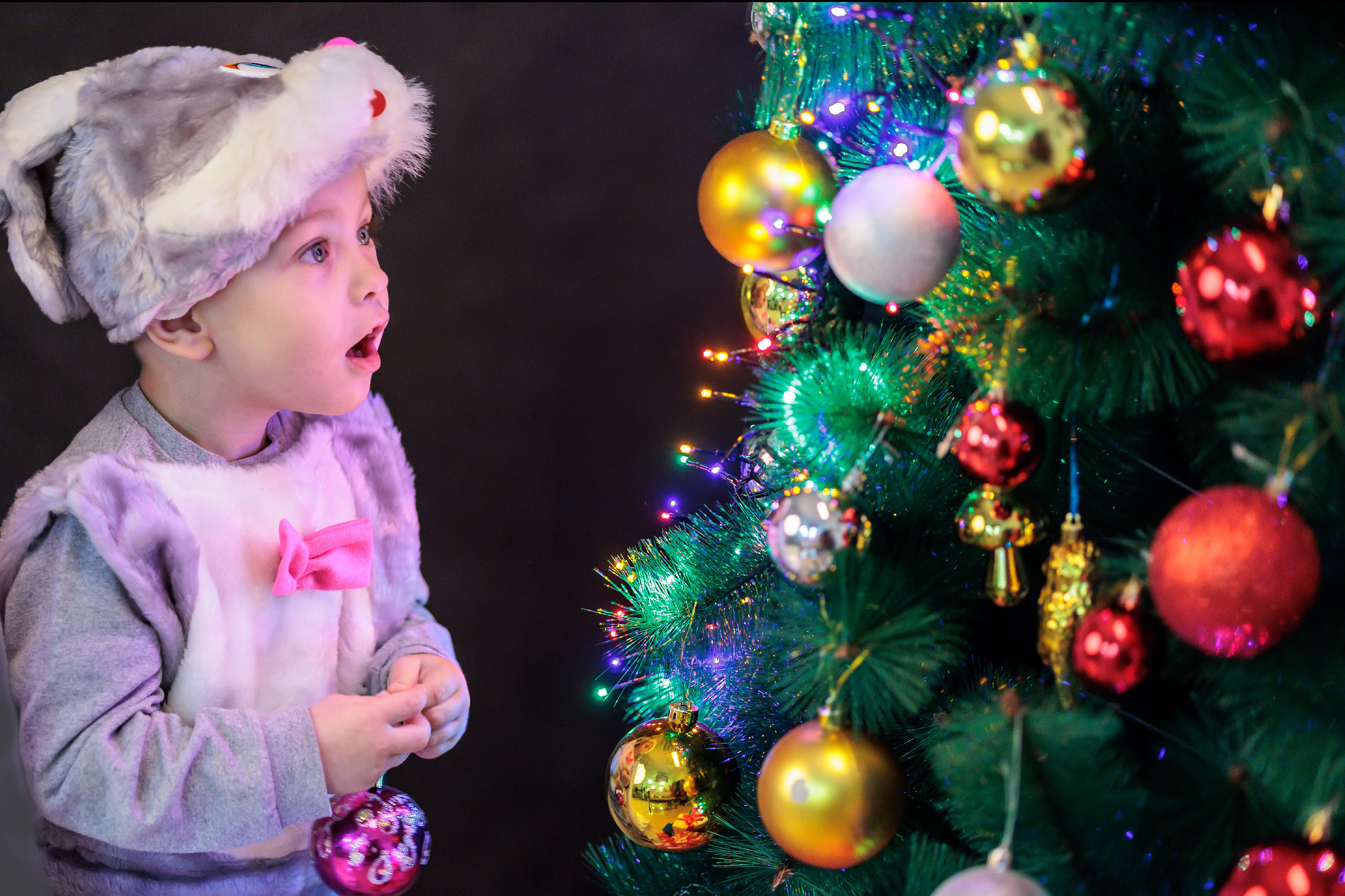 Новый год. Выпускные фотоальбомы и фотокниги в г. Балашове, студия, сувениры