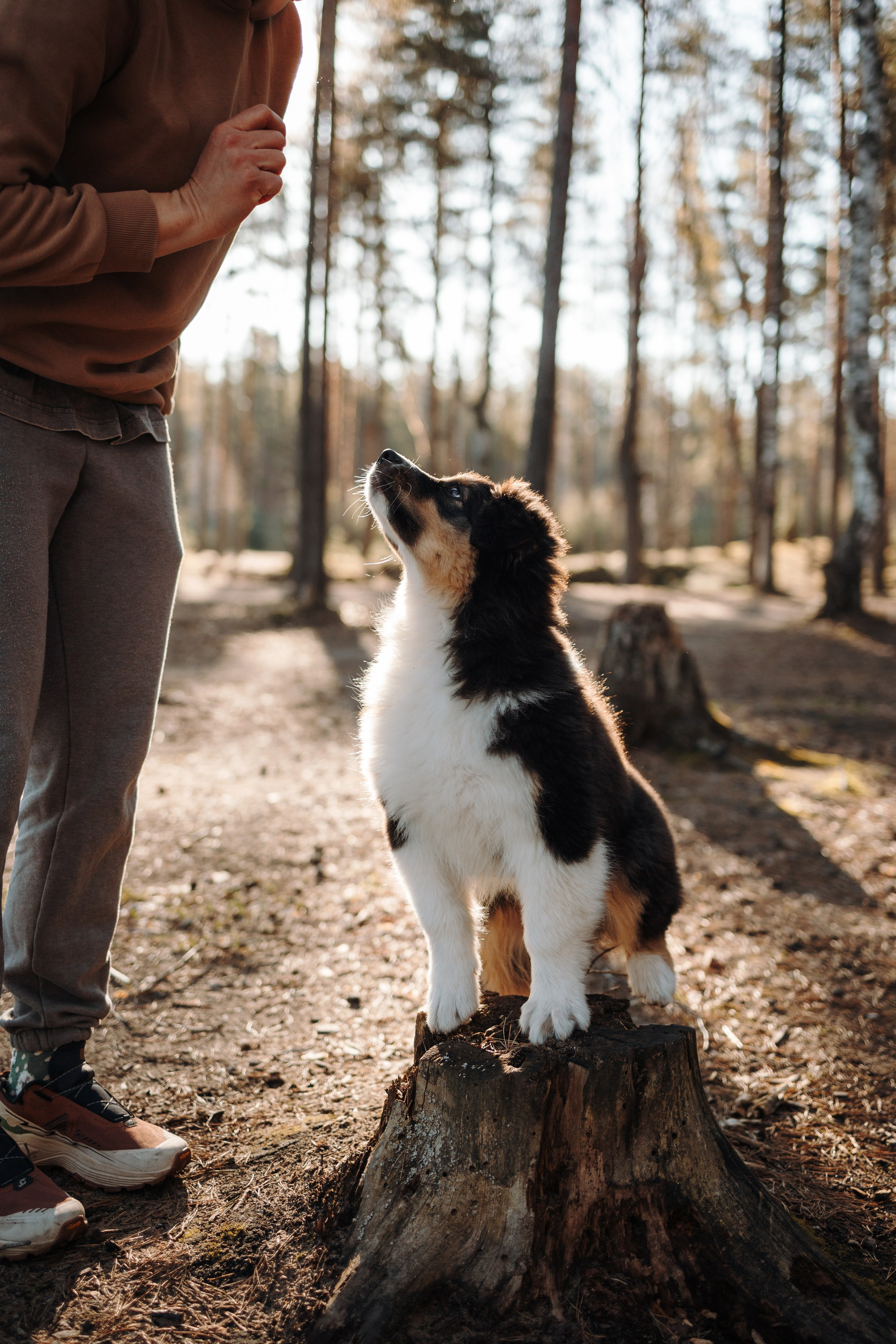 Ира и Шмель. Фотограф — Анималист | Санкт-Петербург