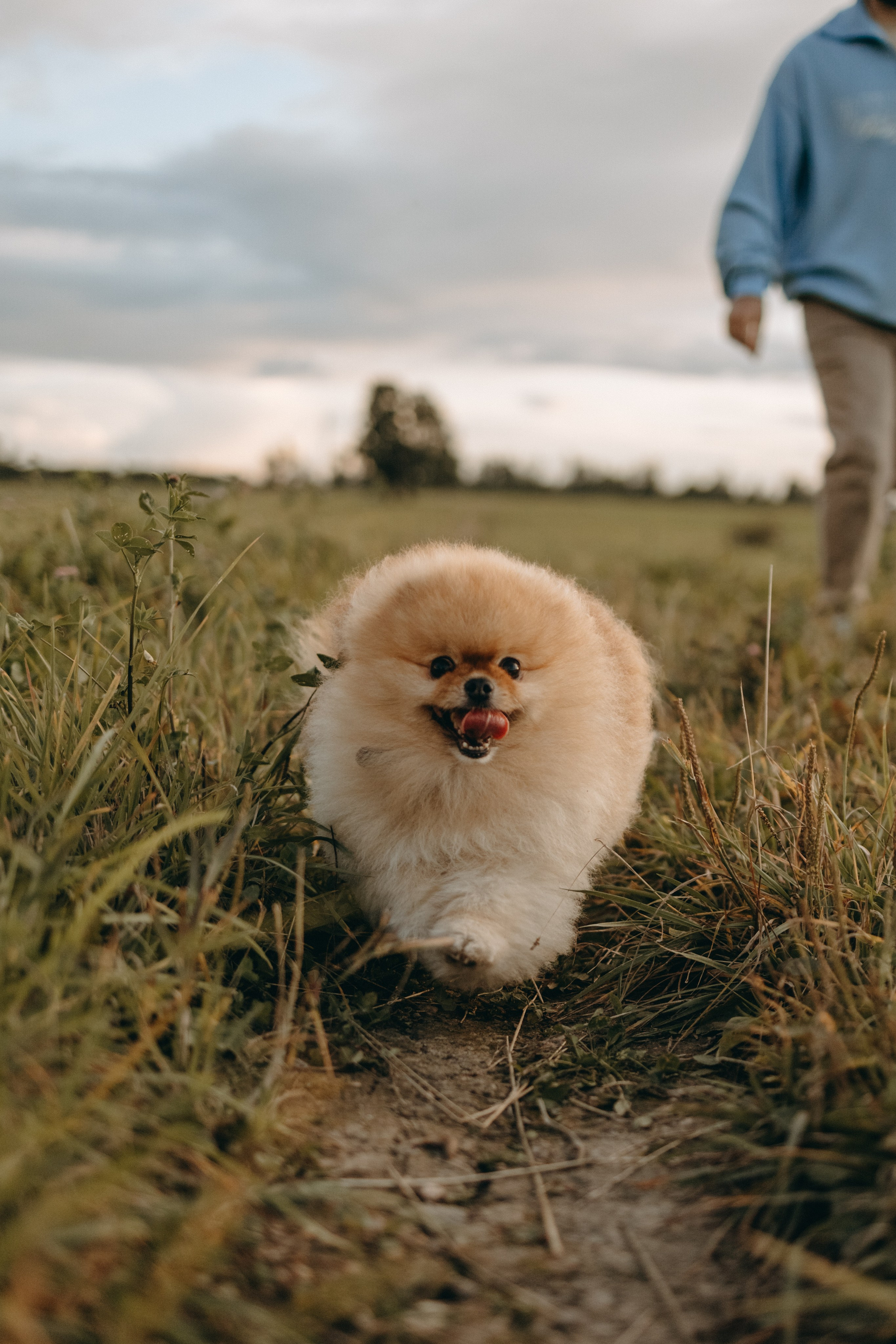 Стив и его семья. Фотограф — Анималист | Санкт-Петербург
