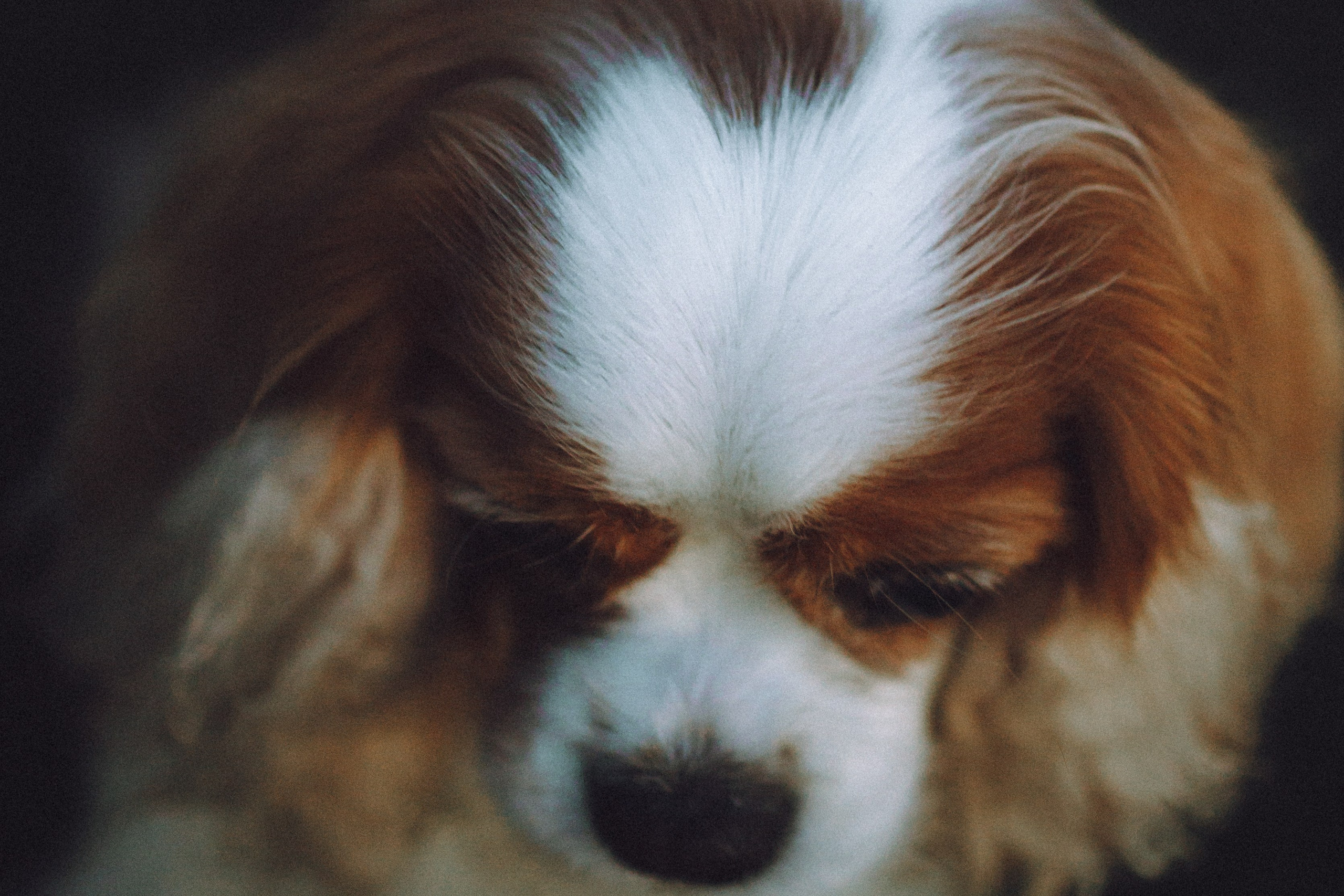 Наташа и Вики