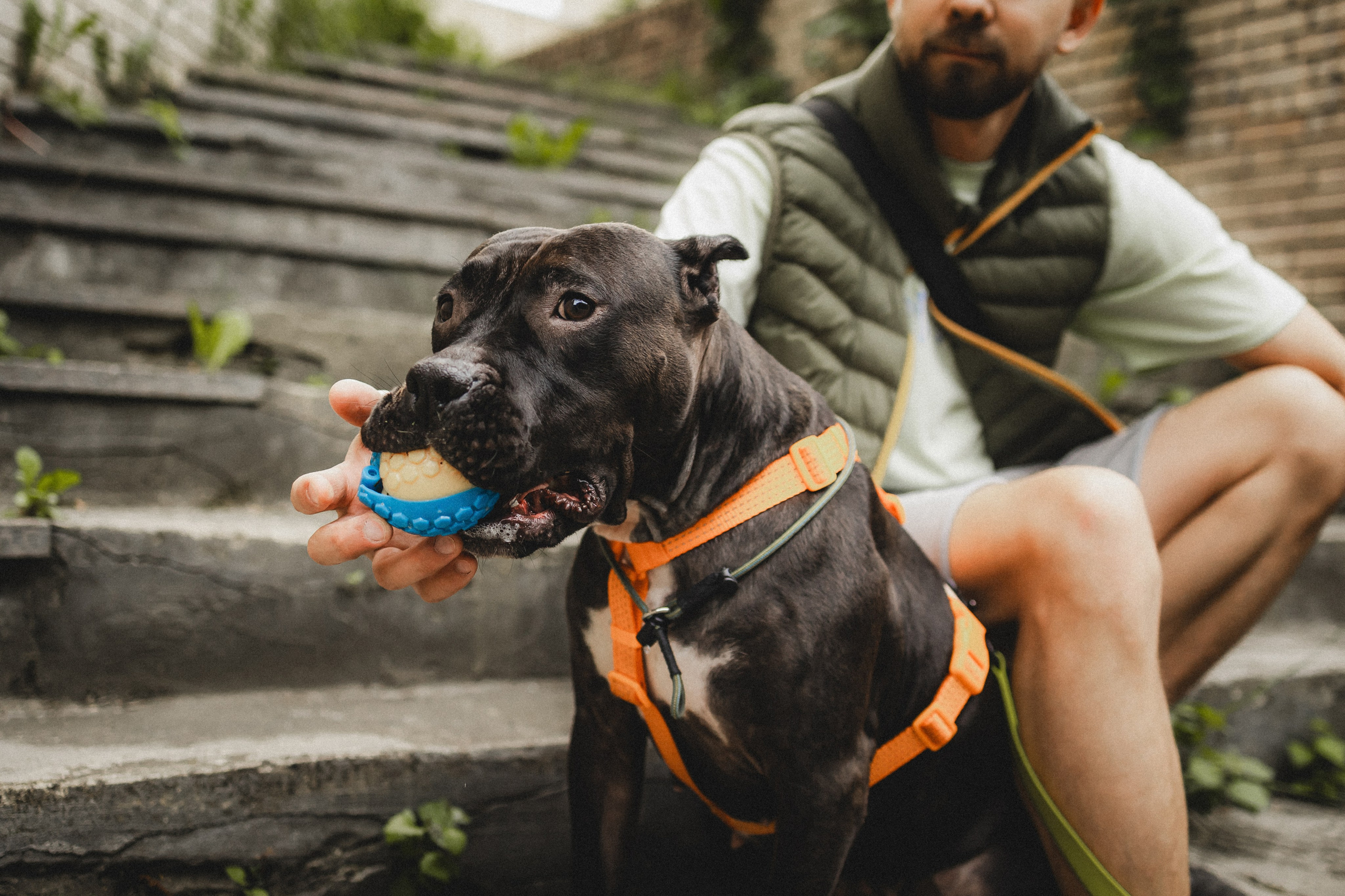 Паша, Хайди и Тея