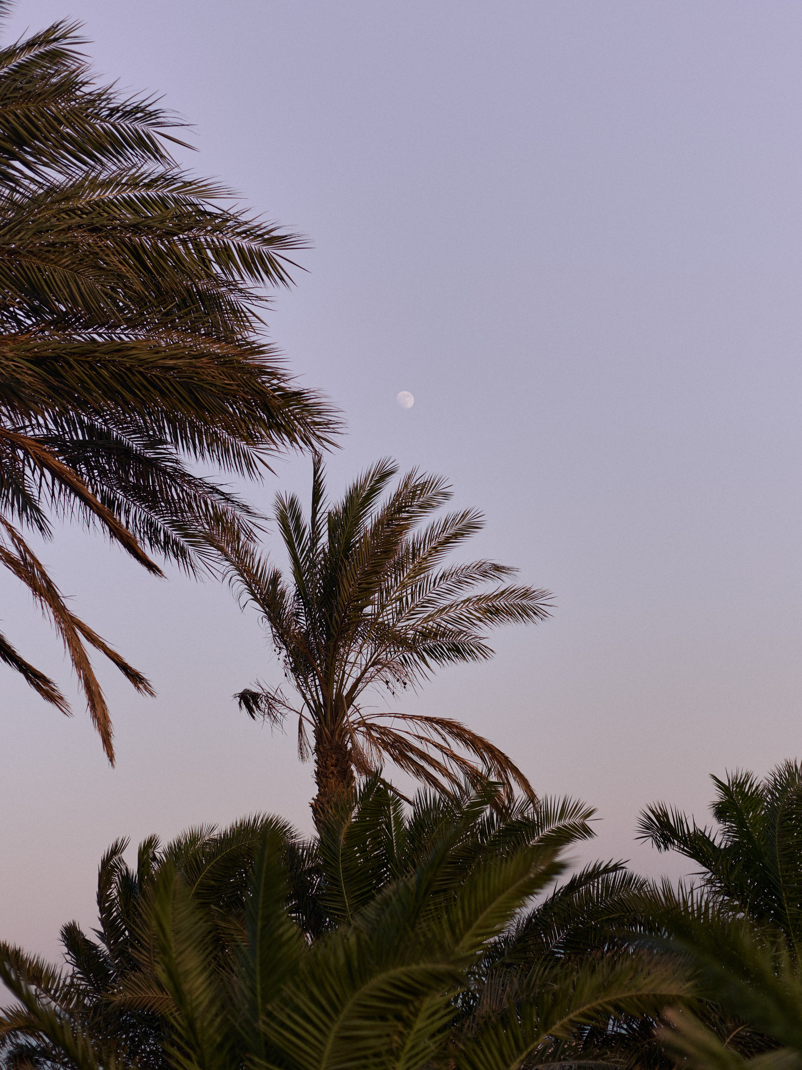 Другое 3. Jorgis Talè — photographer, kind person, teacher of arts and other mag