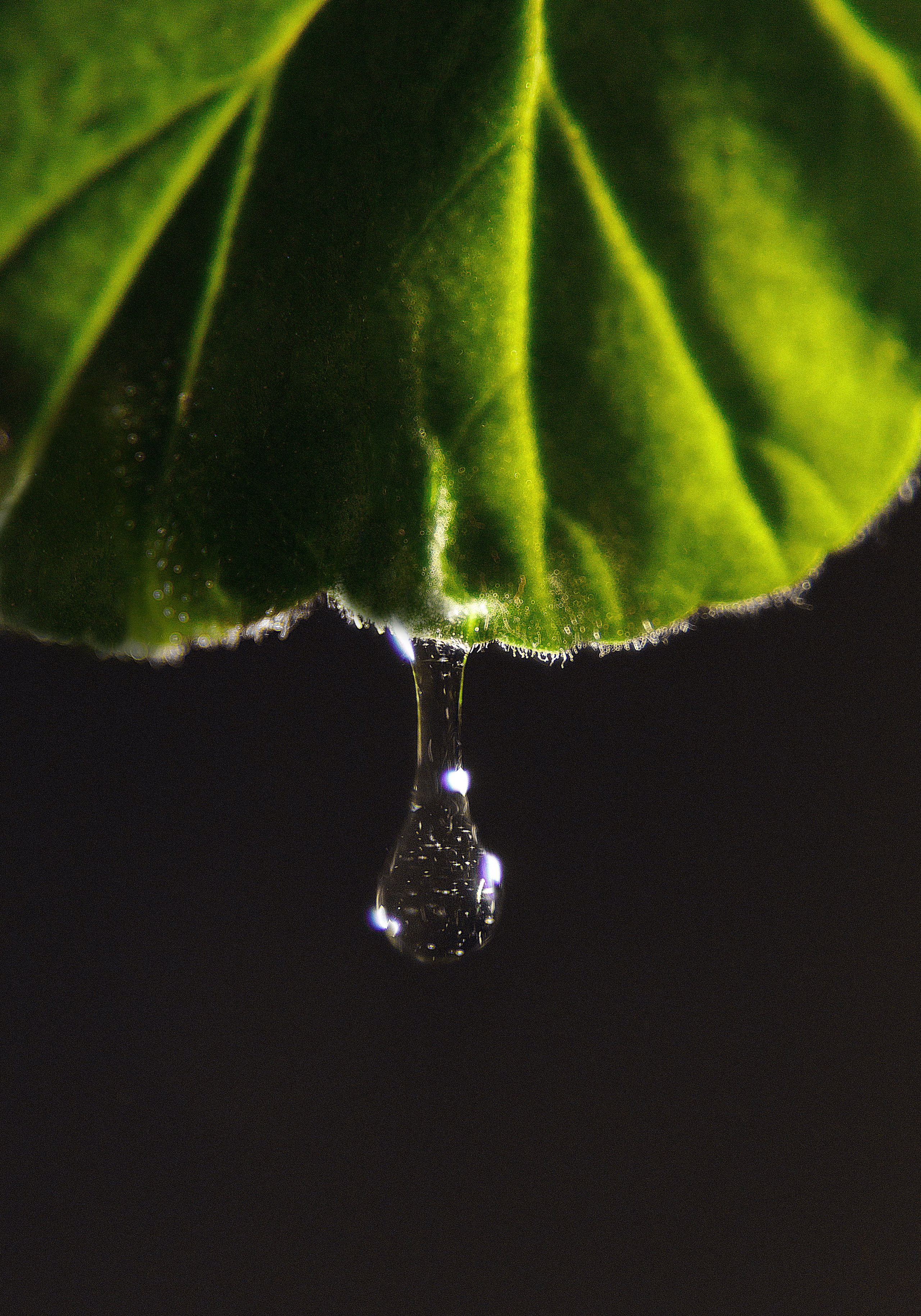 Проект «366»|2024|Фото каждый день. LENA GRACE photographer ||ЛЕНА ГРЭЙС фотограф