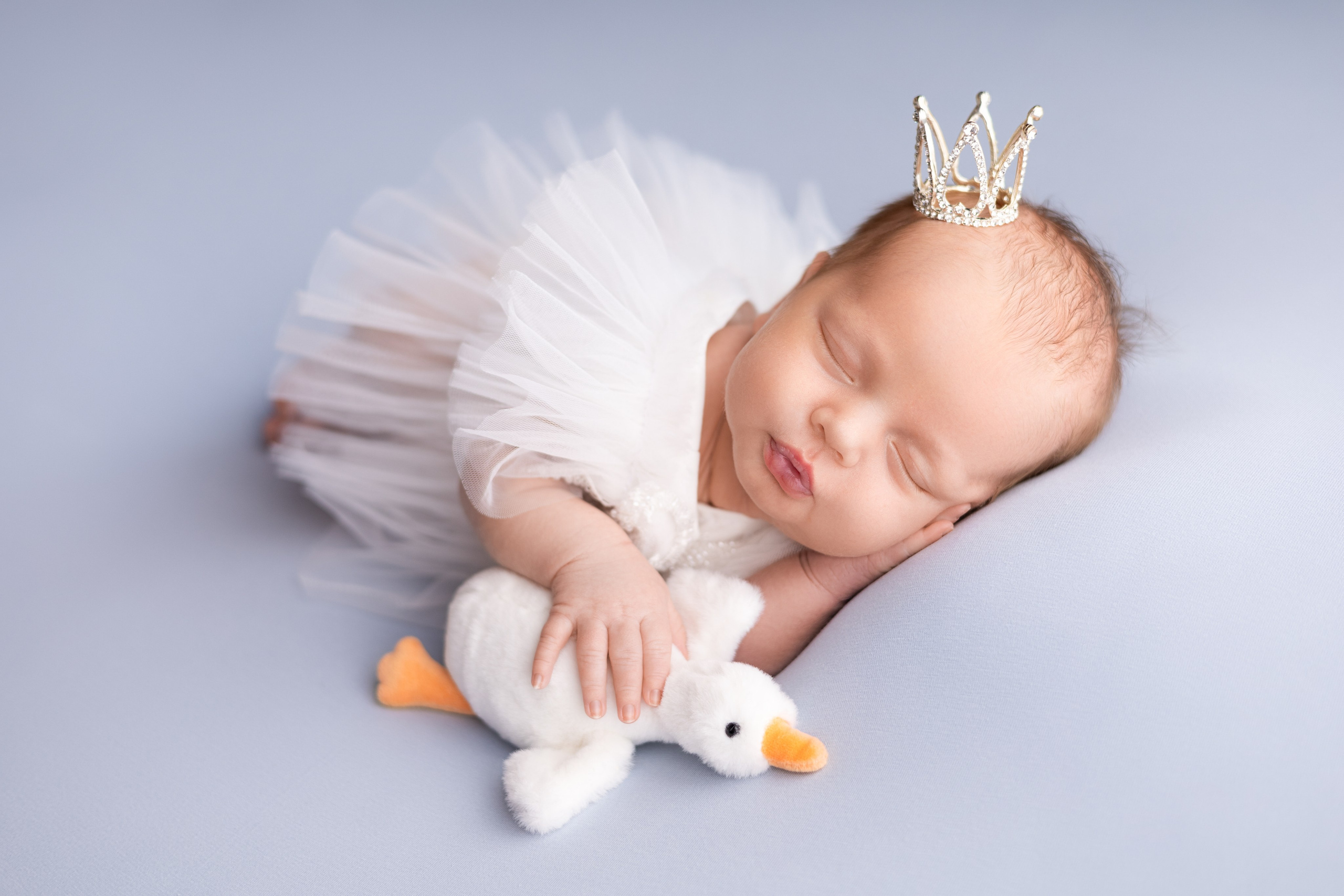 Новорожденные. Фотограф новорожденных Новосибирск