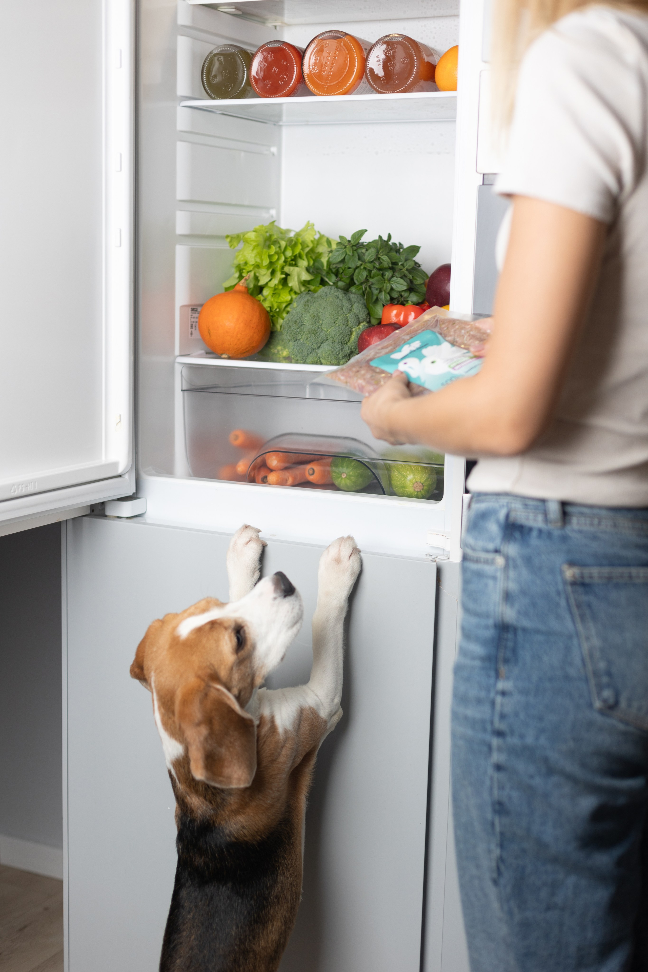 Best for friend (BFF). Фотограф анималист Кристина Карпова, Москва