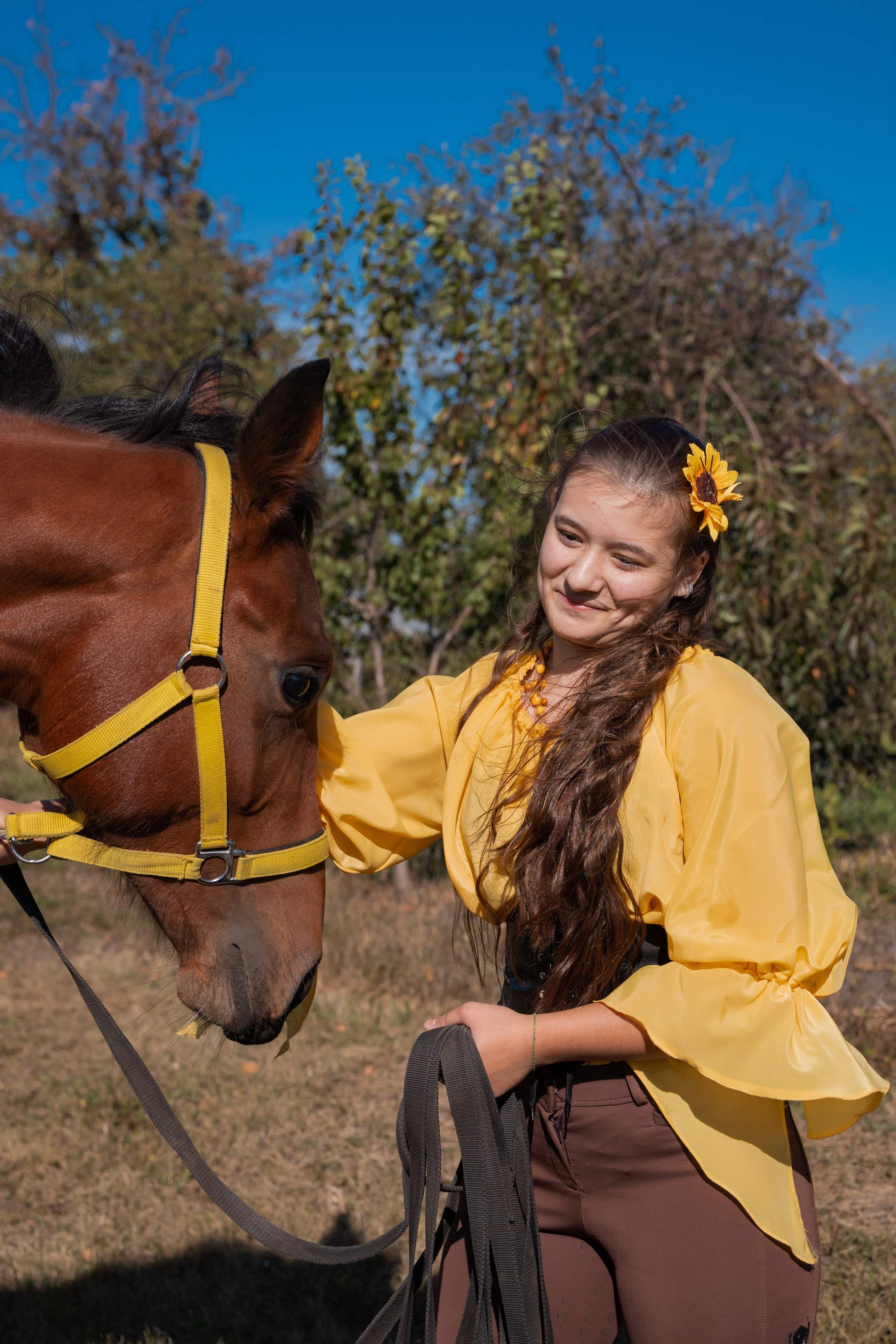Фотосессия с лошадьми