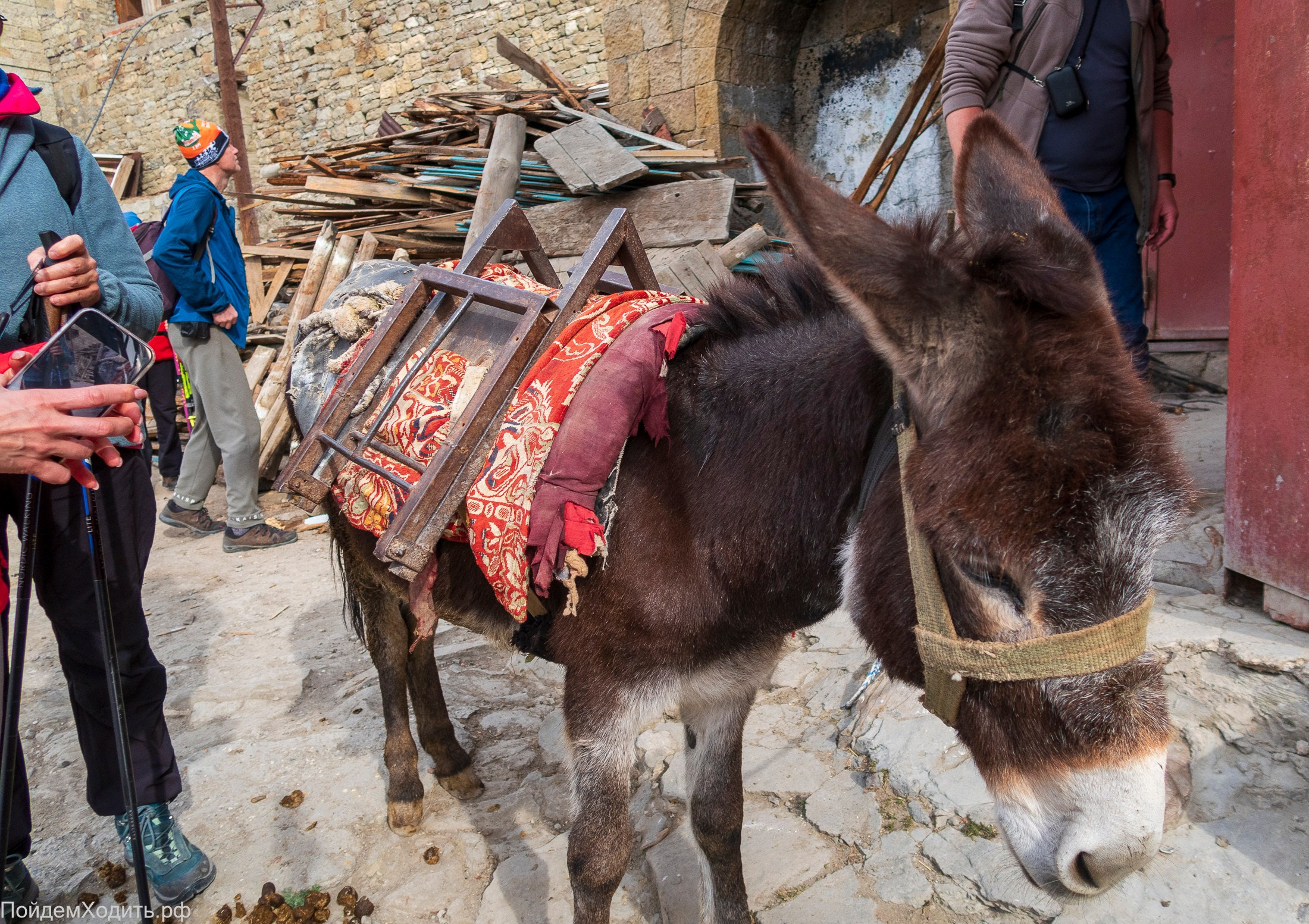 Nordic Walkers в Дагестане. Фото из походов и путешествий клуба скандинавской ходьбы Пойдем Ходить