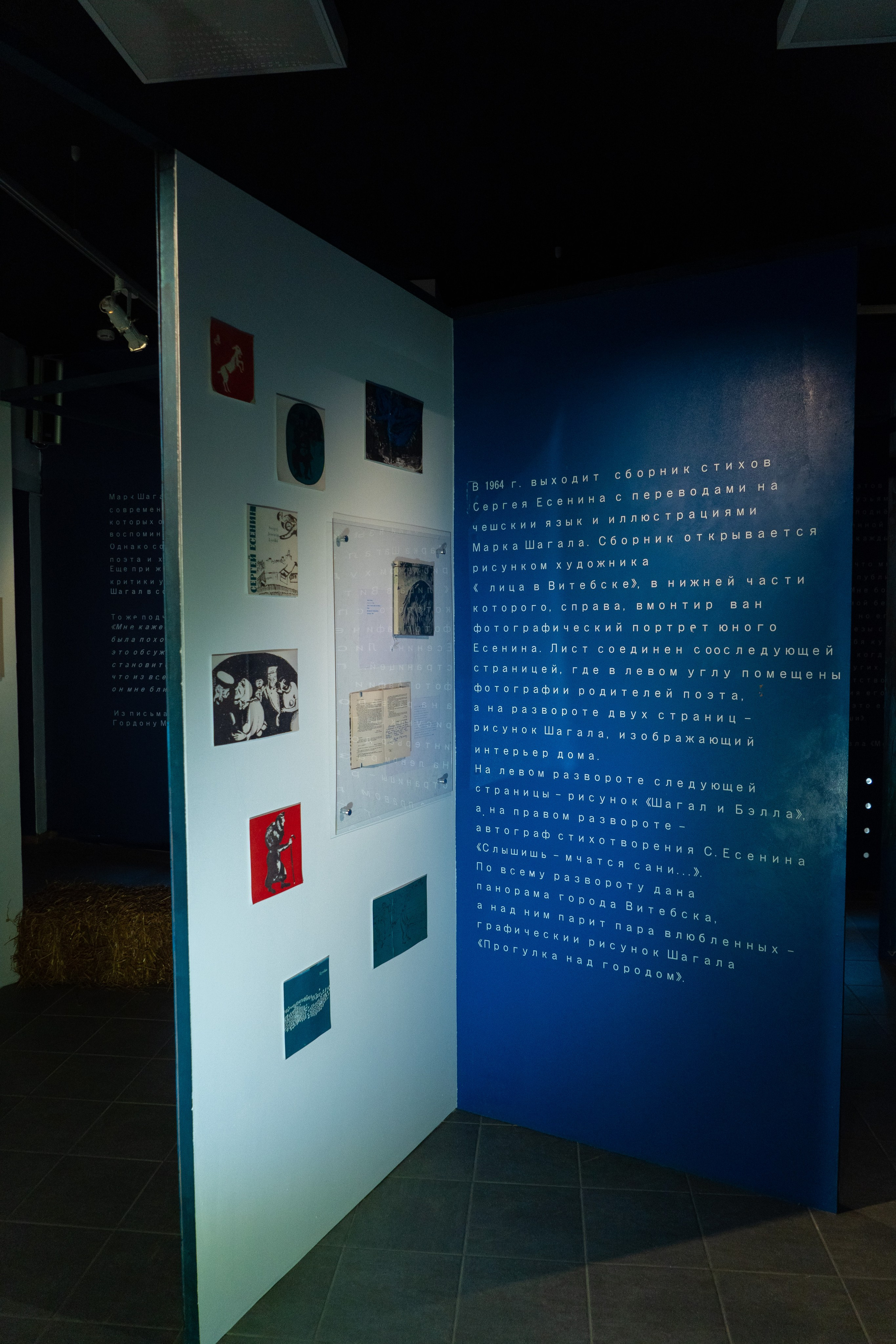 Есенин-центр Московского государственного музея С. А. Есенина. Профессиональный портретный фотограф в Москве Владимир Глаголев