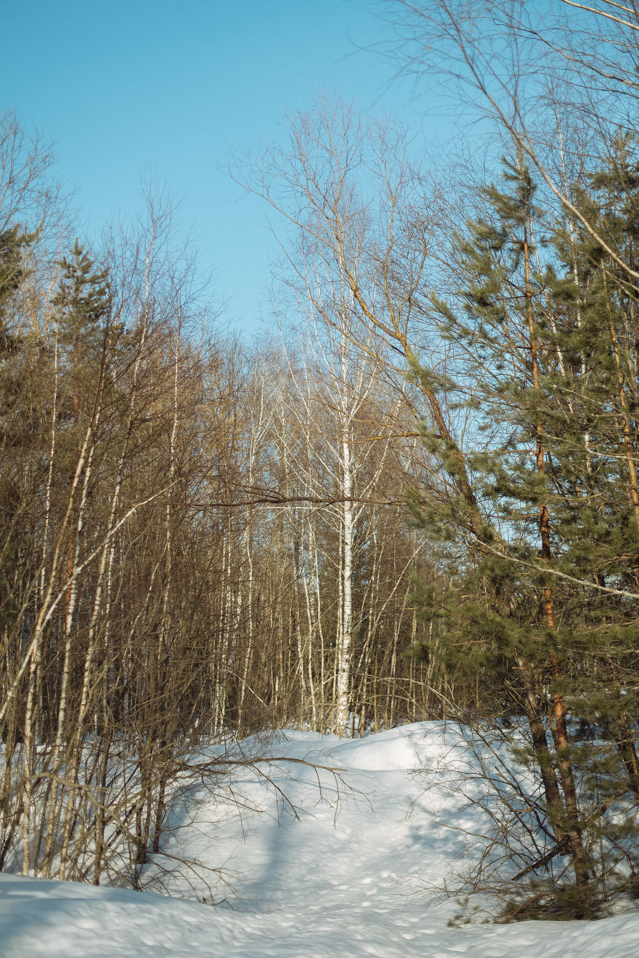 Экопарк ПОЛЯНЫ. Главная