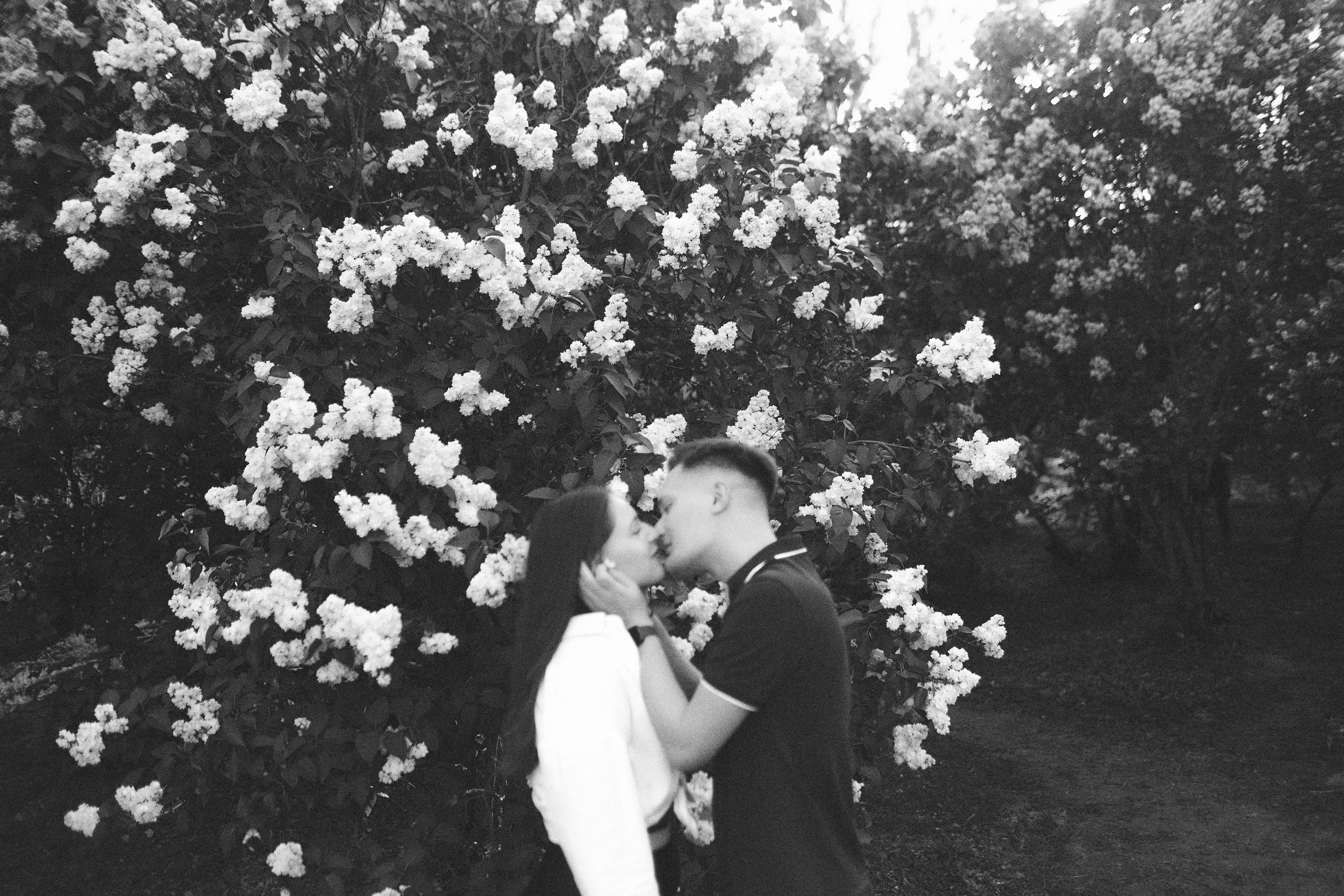 Алексей и Анна. Свадебный и портретный фотограф в Москве Когырина Мария