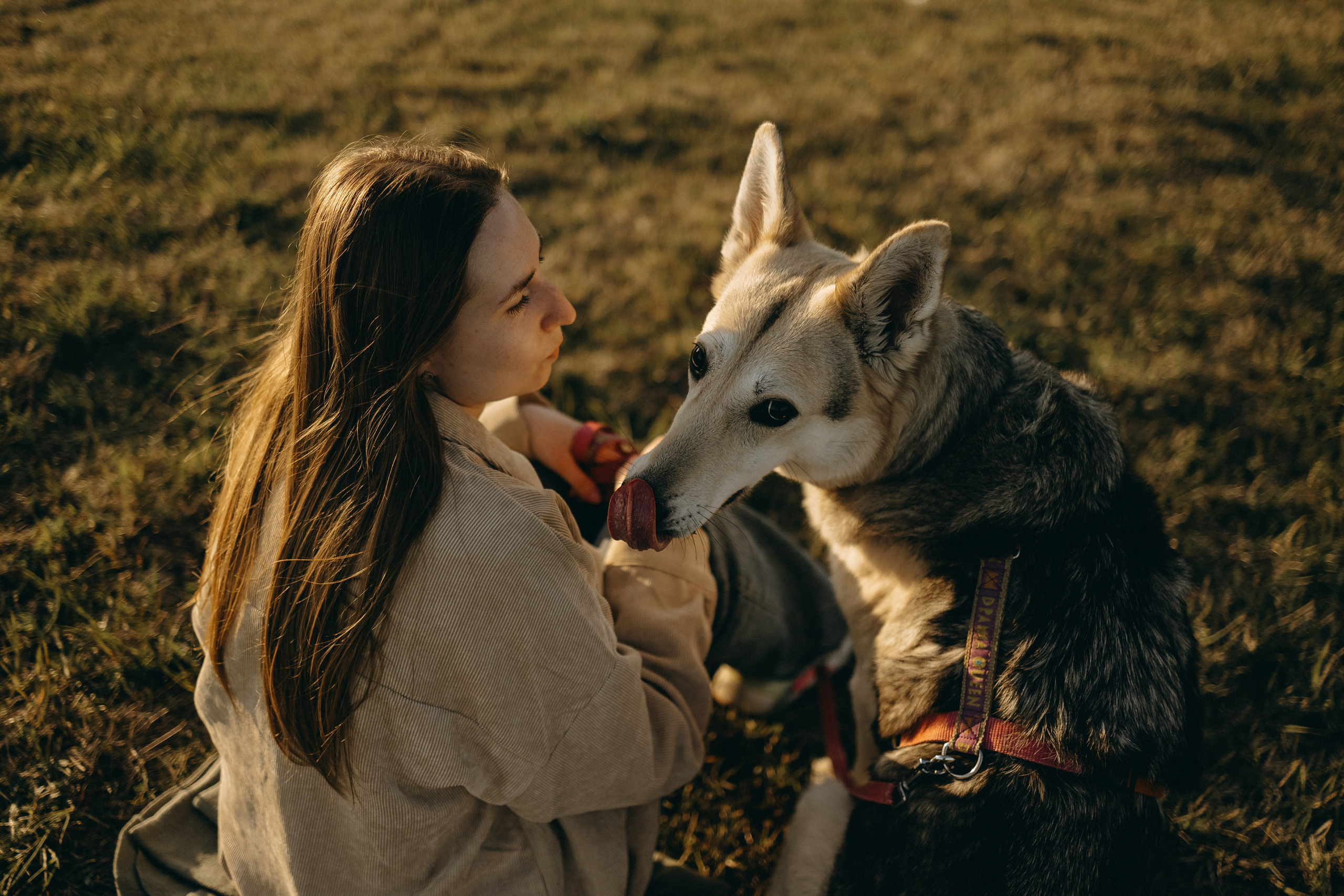 Саша и Зельда. Фотограф — Анималист | Санкт-Петербург