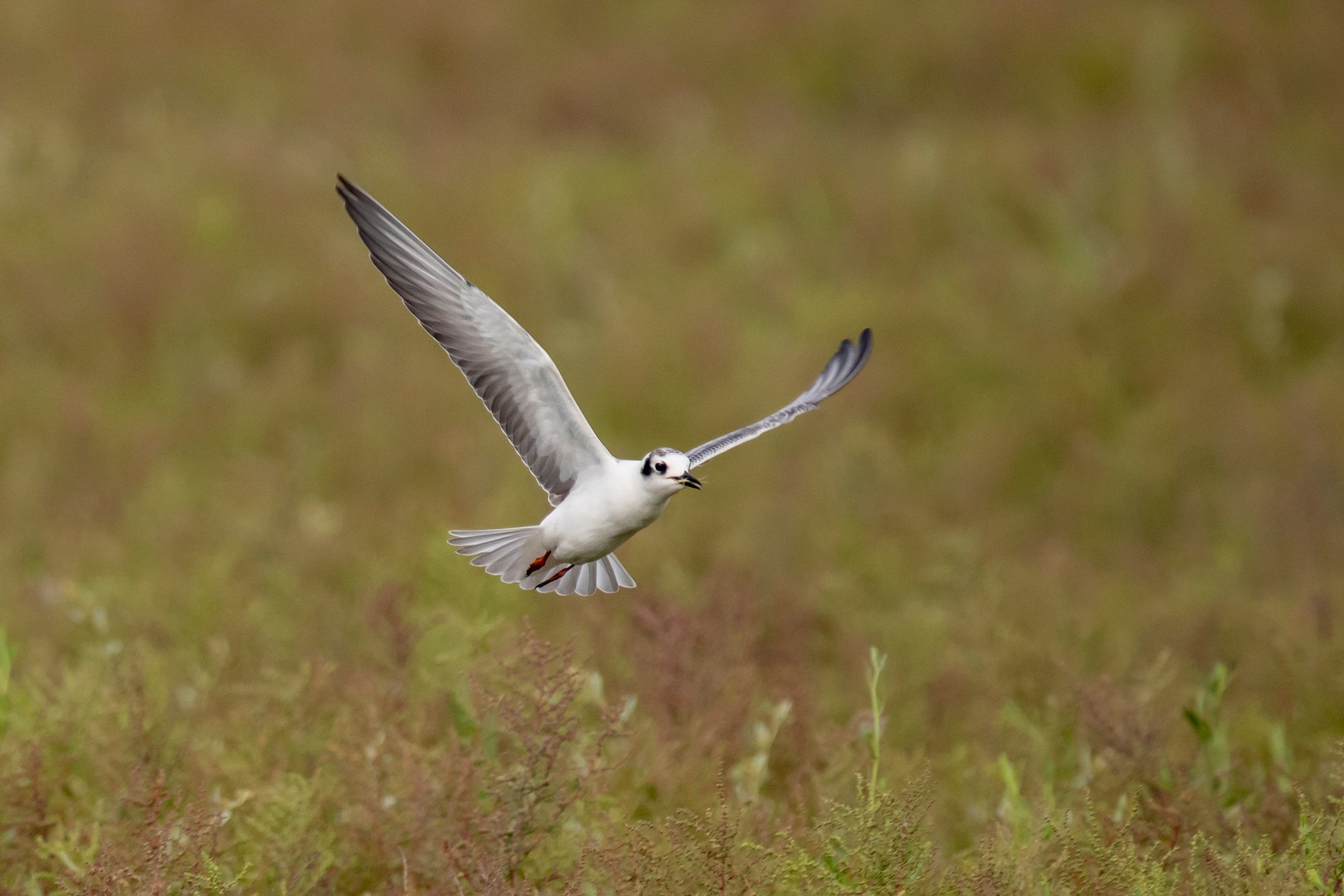Природа Дагестана, сентябрь 2024. Foto-Zuev фотография как искусство