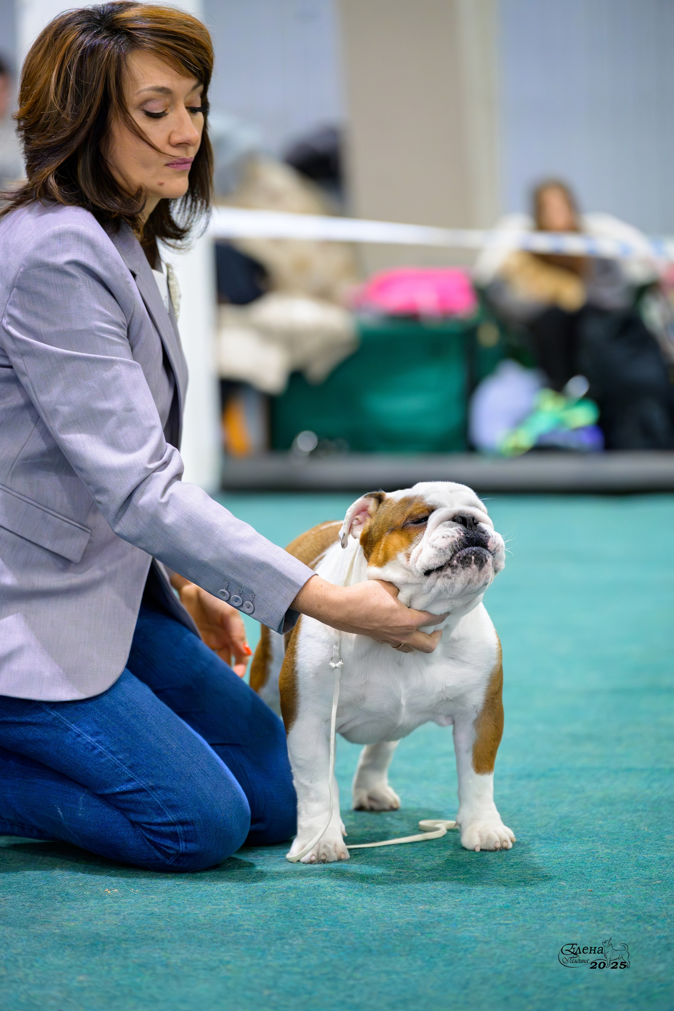 6-7.12.2025 г.Новосибирск. Фотограф анималист Елена Галдина г. Красноярск