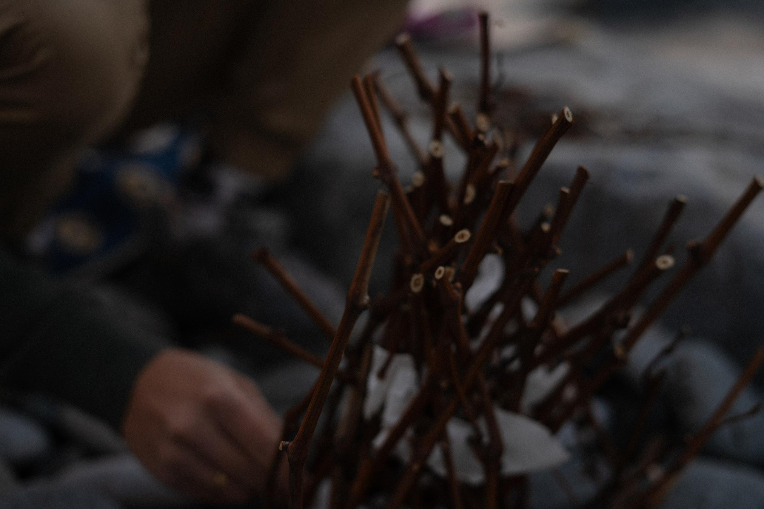 9. Фотограф Батуми | Ксения Кинасова