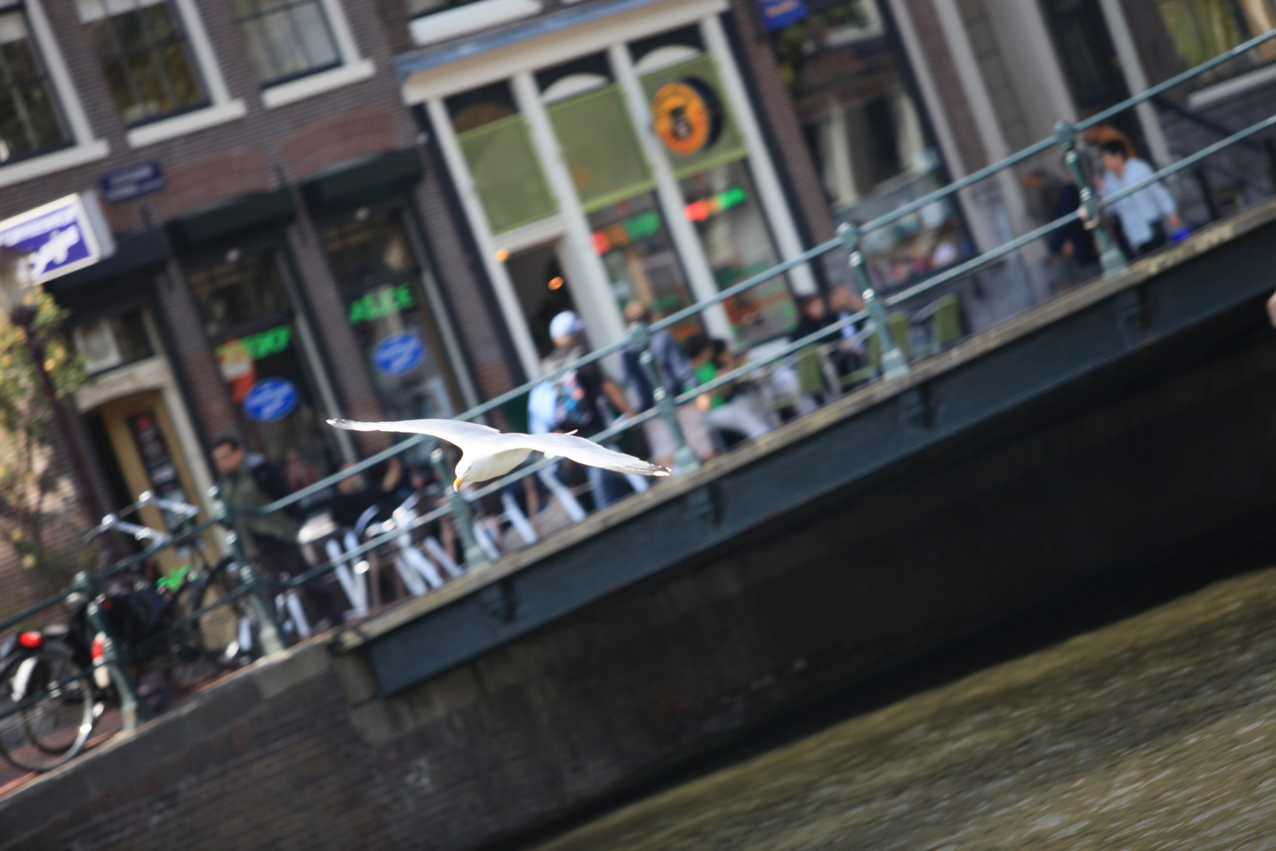 Амстердам. Фотография, ретушь, сканирование, восстановление старых фото, интерьерная съёмка, студия. Данилов Александр, Москва