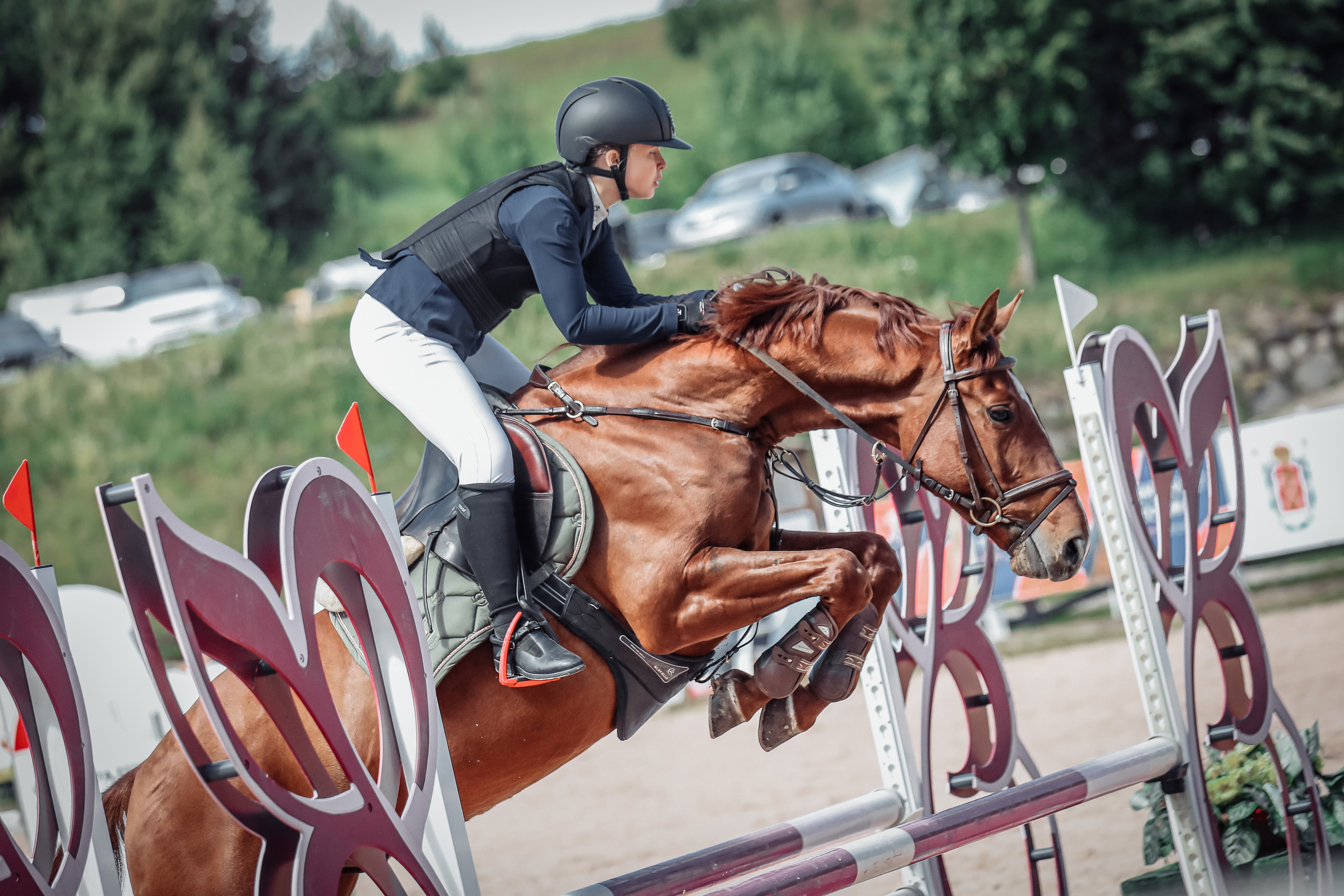 Ева Демидова. Спортсмен по конкуру в Санкт-Петербуре