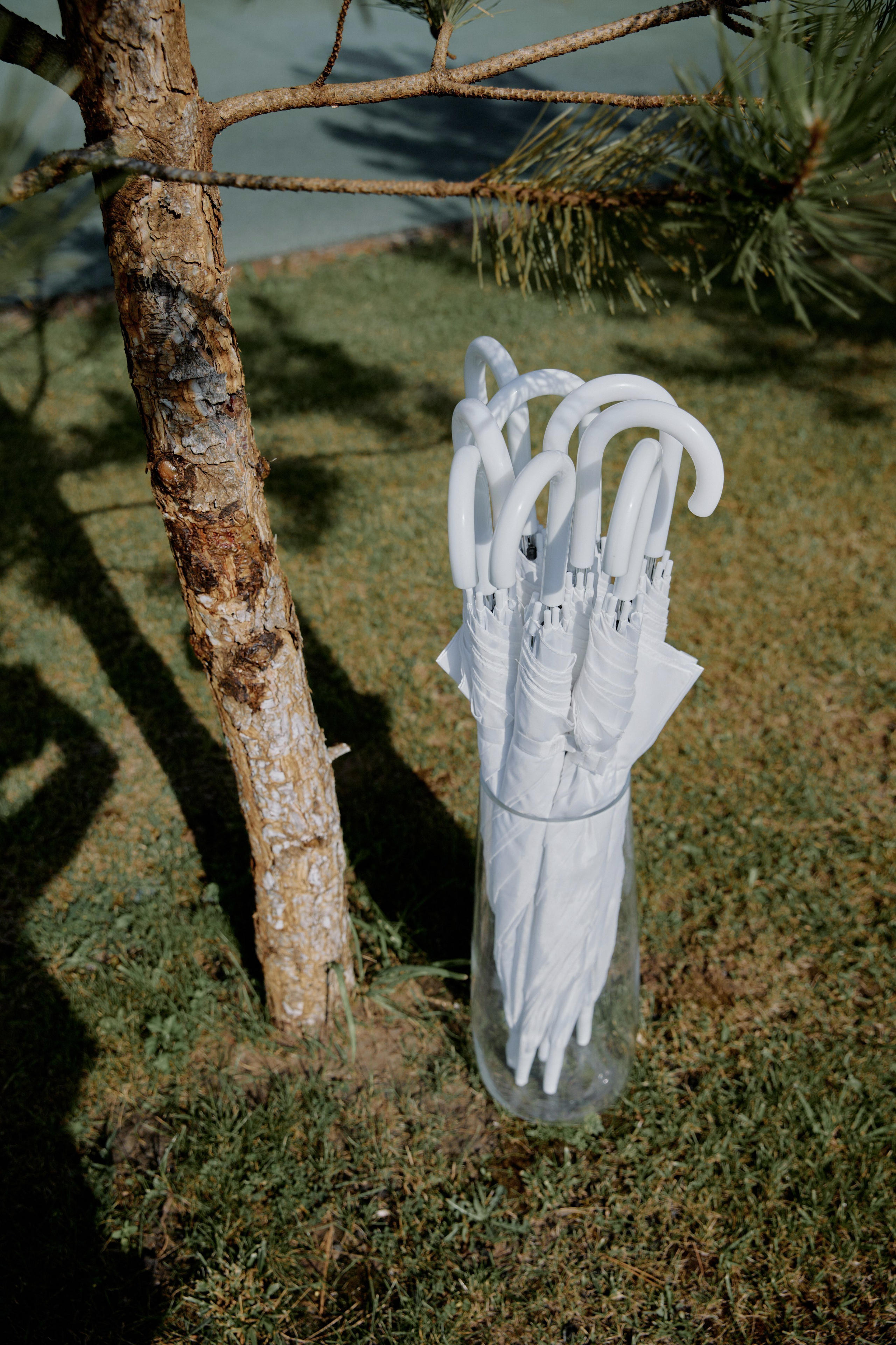 95 градусов по Фаренгейту. Фотограф Елена Краснопевцева