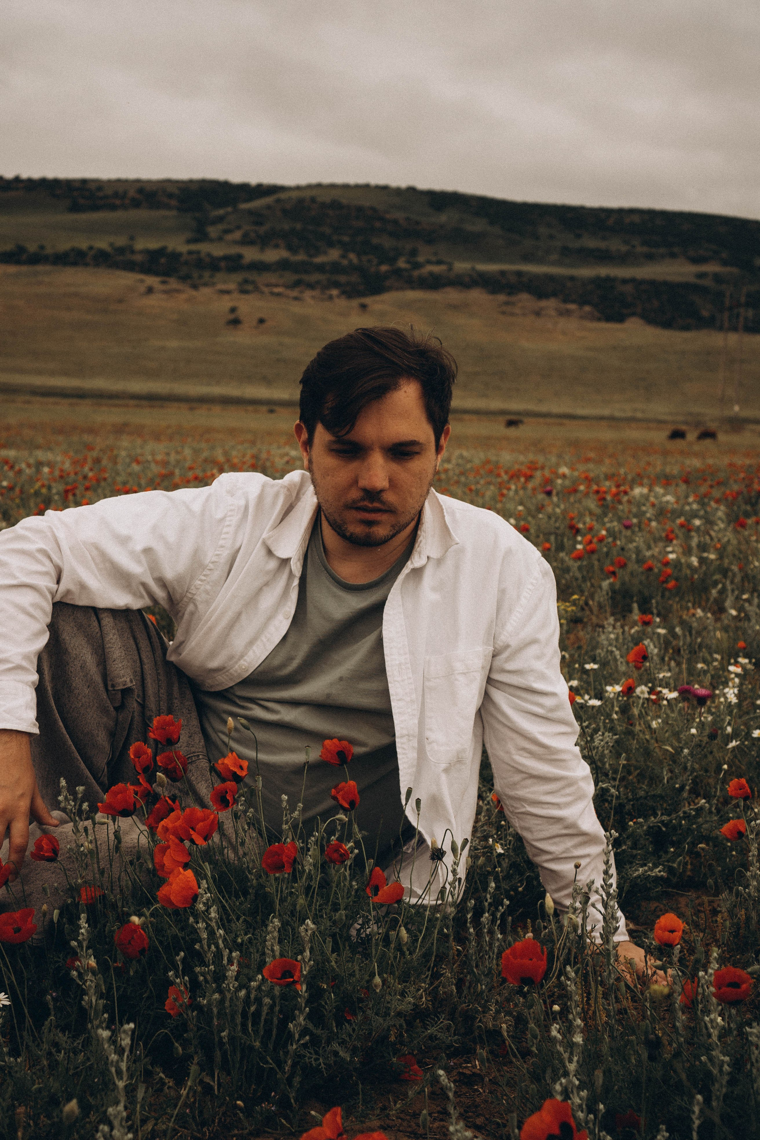 Маки. Профессиональный фотограф, Санкт-Петербург — Виктория Богомолова