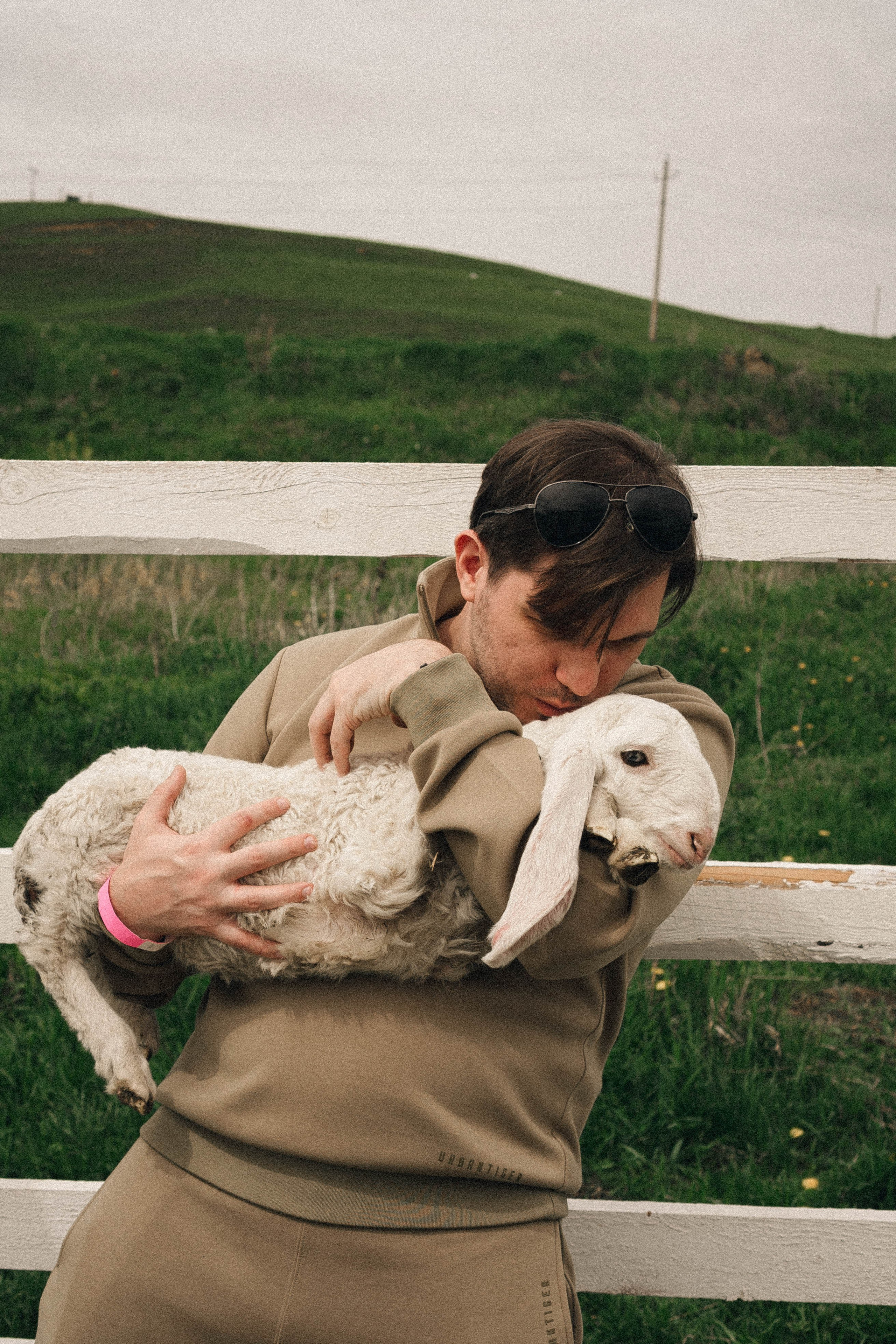 Ферма Альпак. Профессиональный фотограф, Санкт-Петербург — Виктория Богомолова