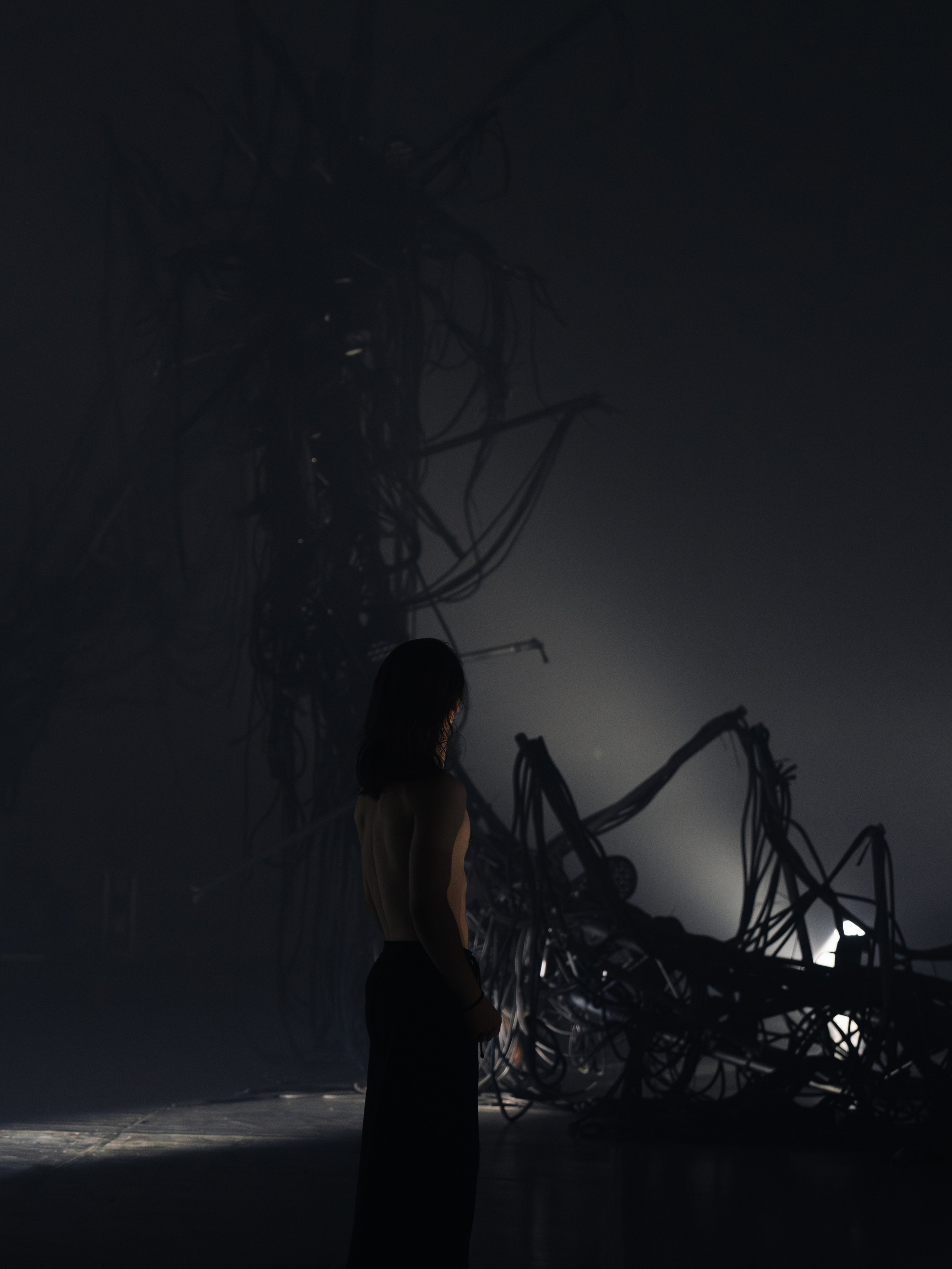 PERFORMA, The Hour of the Horse. @tomrus: Рустам Шагиморданов — фотограф