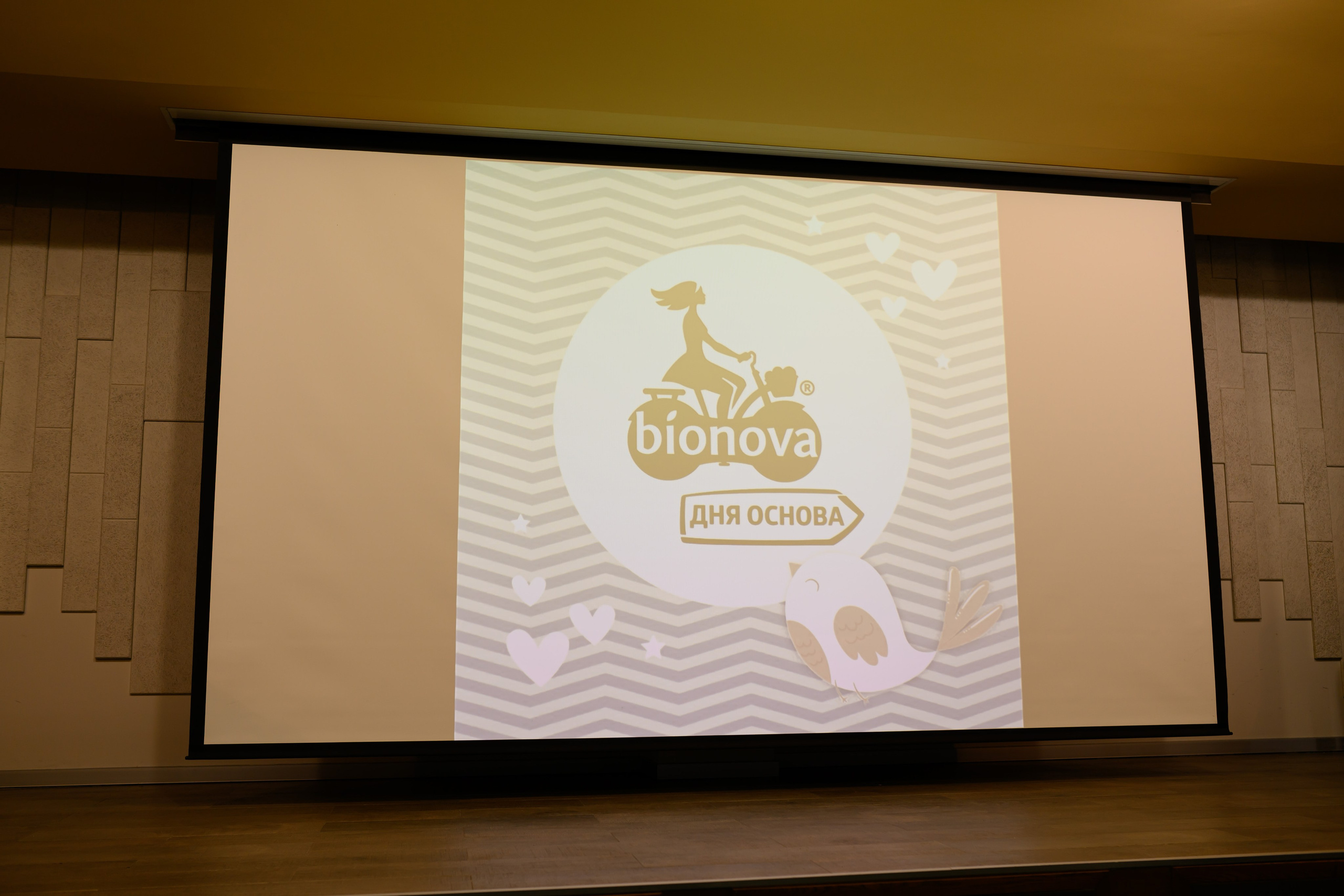 Праздник материнства ноябрь 2025. Профессиональный фотограф Елена Красилина г.Ярославль, г. Рыбинск