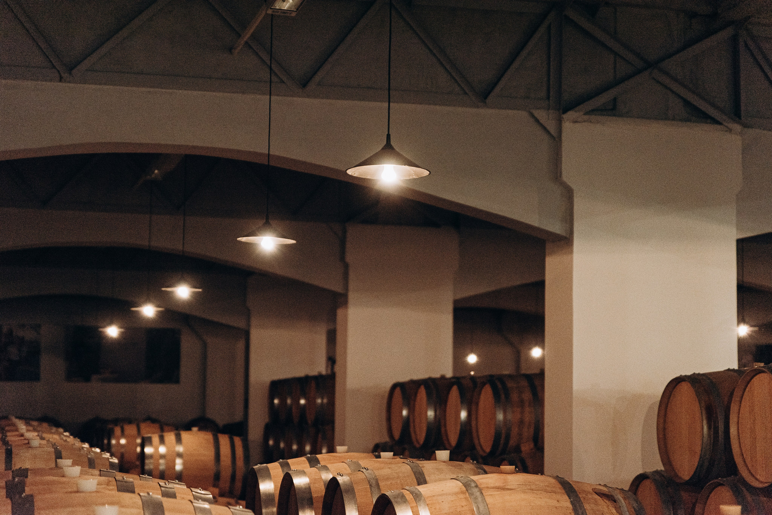 Фотограф на мероприятие Новороссийск. Фотограф Новороссийск / ЮФО / Москва Руслан Пелин