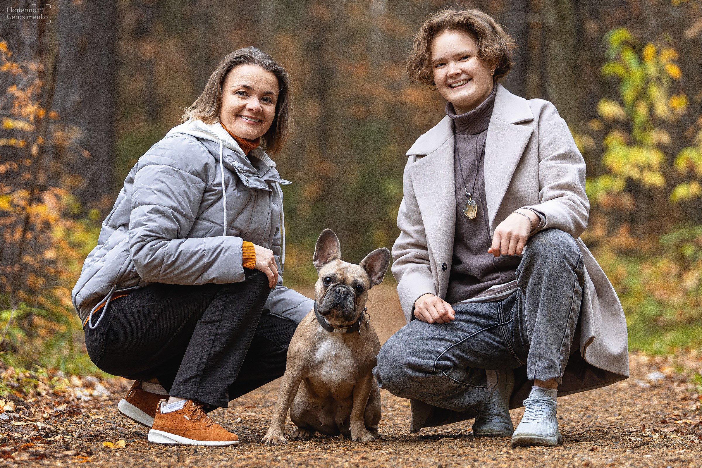 Французский бульдог Ника. Htykk_photo