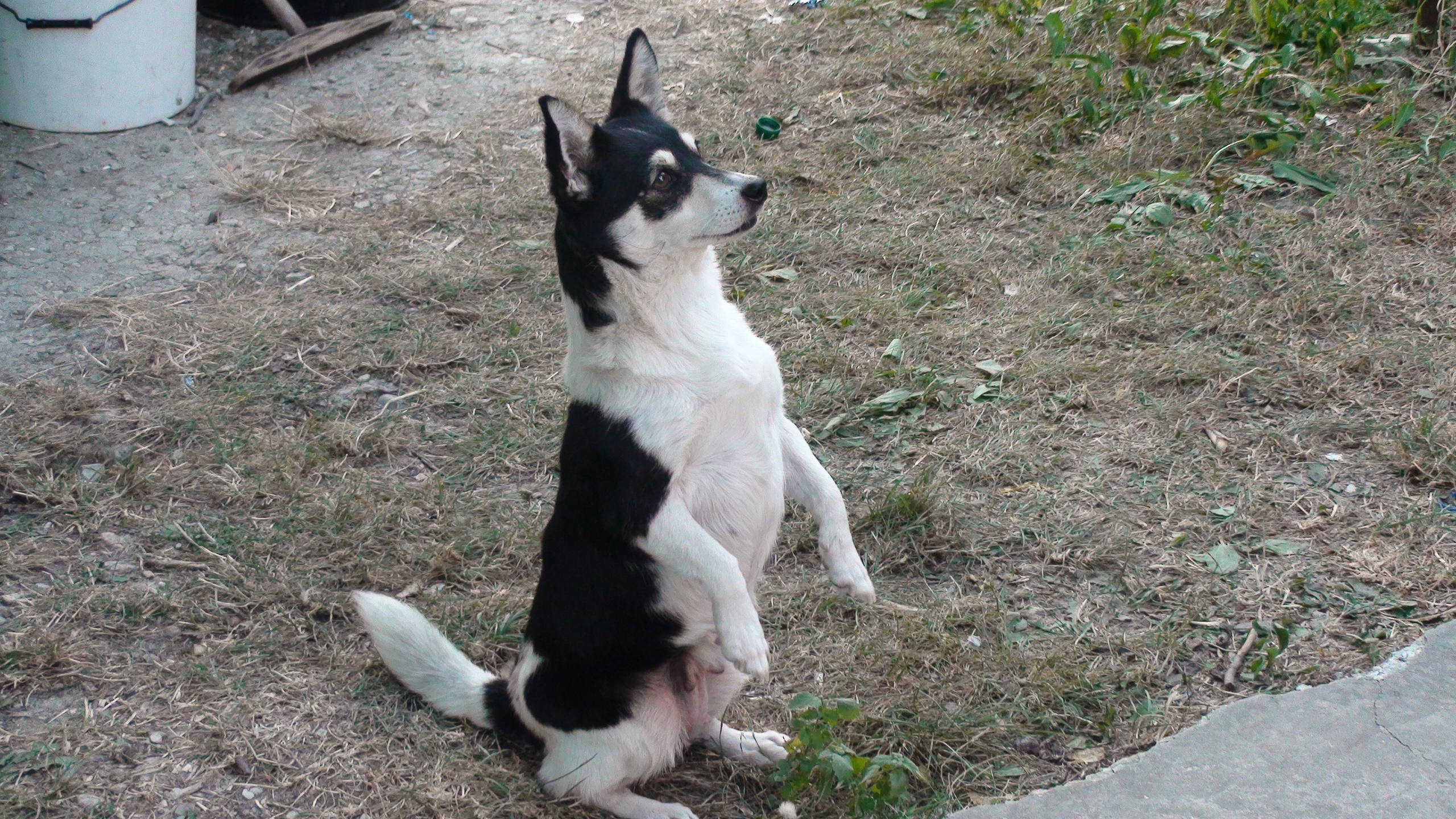 Отпуск 27.05-16.08. Семейный, Свадебный фотограф СПБ Питер— Романова Екатерина